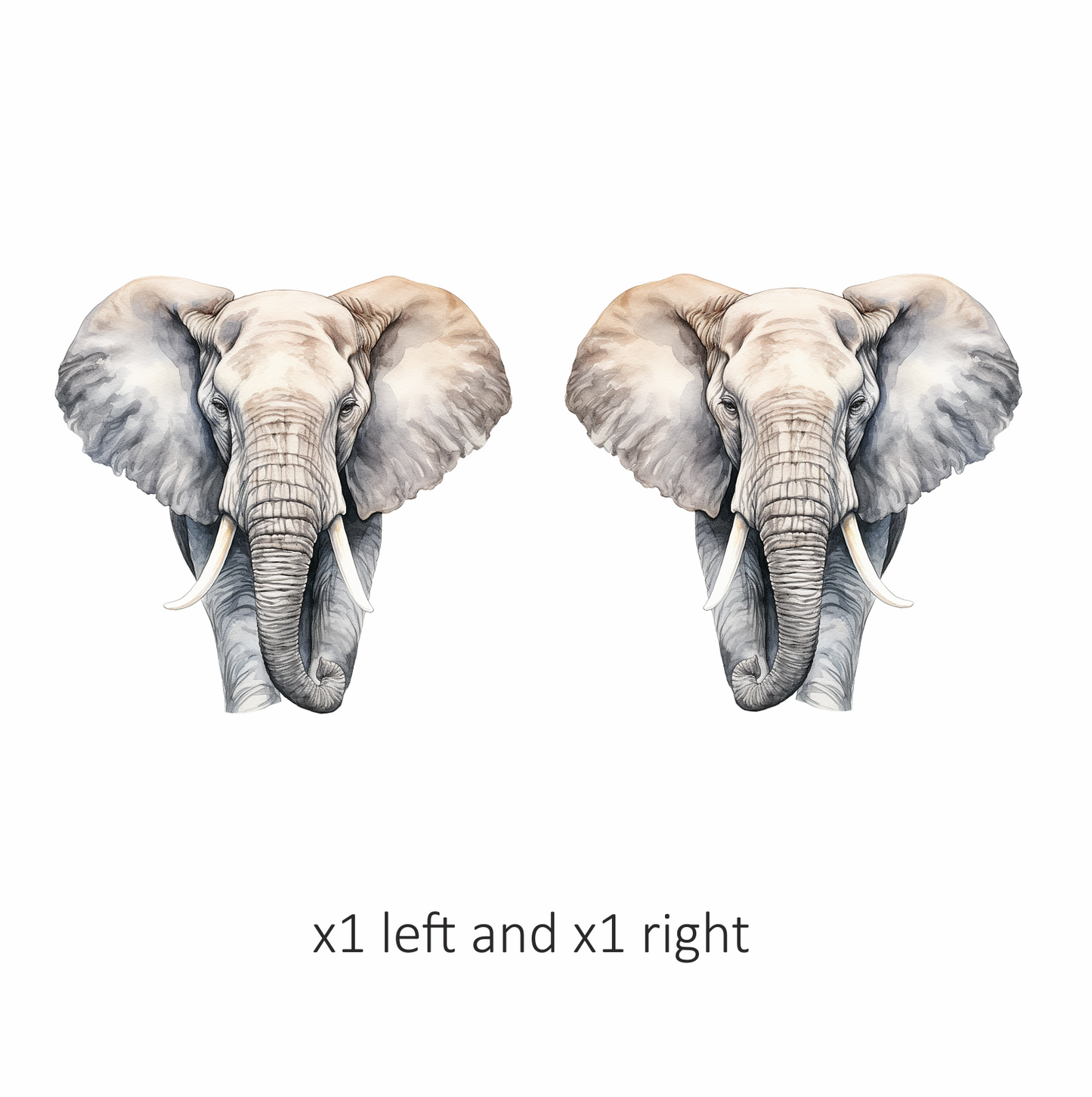Grey African Elephant With Tusks And Large Ears Vinyl Decal Sticker