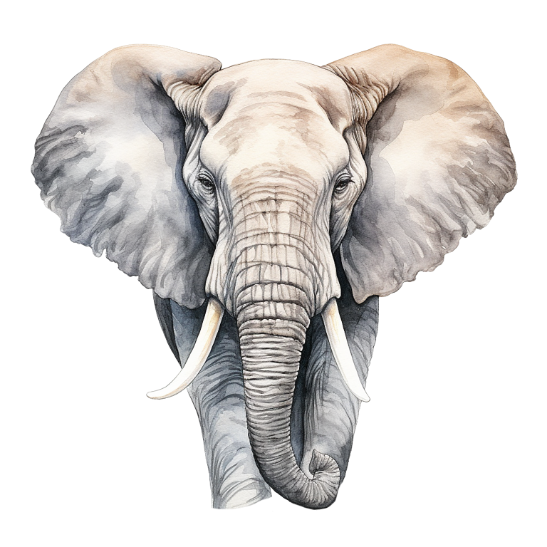 Grey African Elephant With Tusks And Large Ears Vinyl Decal Sticker