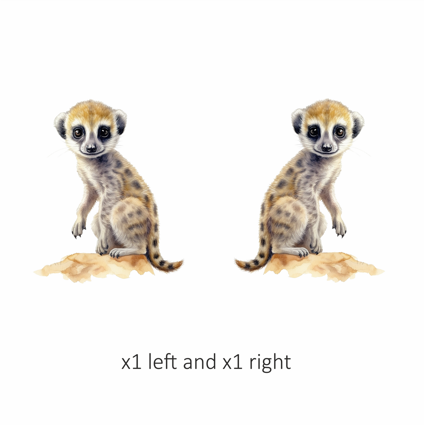 Meerkat Pup Sitting On Brown Rock Vinyl Decal Sticker