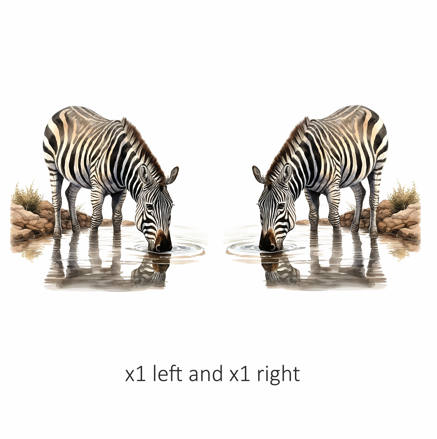 Zebra Drinking Clear Water Black Vinyl Decal Sticker