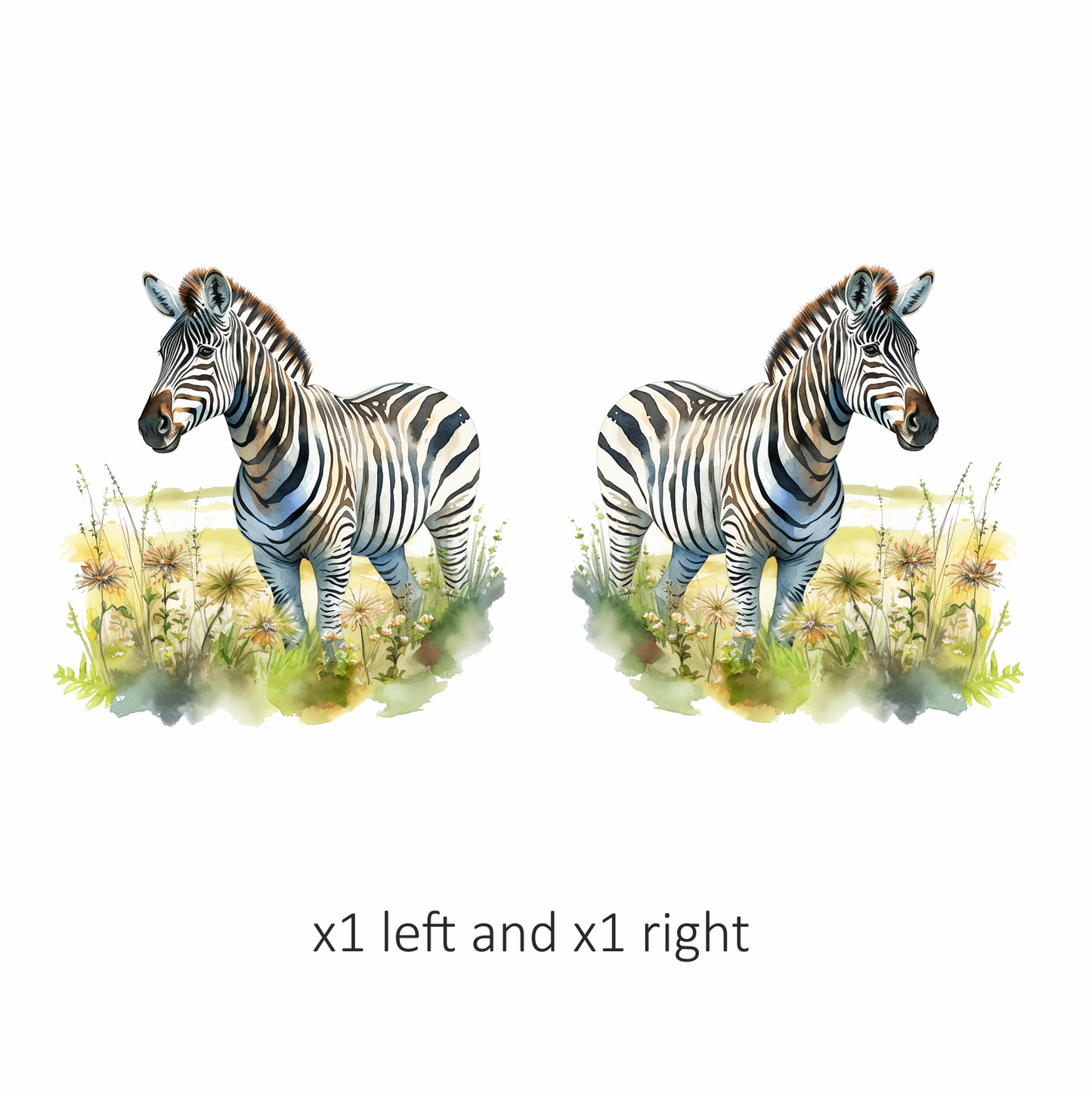 Zebra Breed Animal With Black Stripes Vinyl Decal Sticker