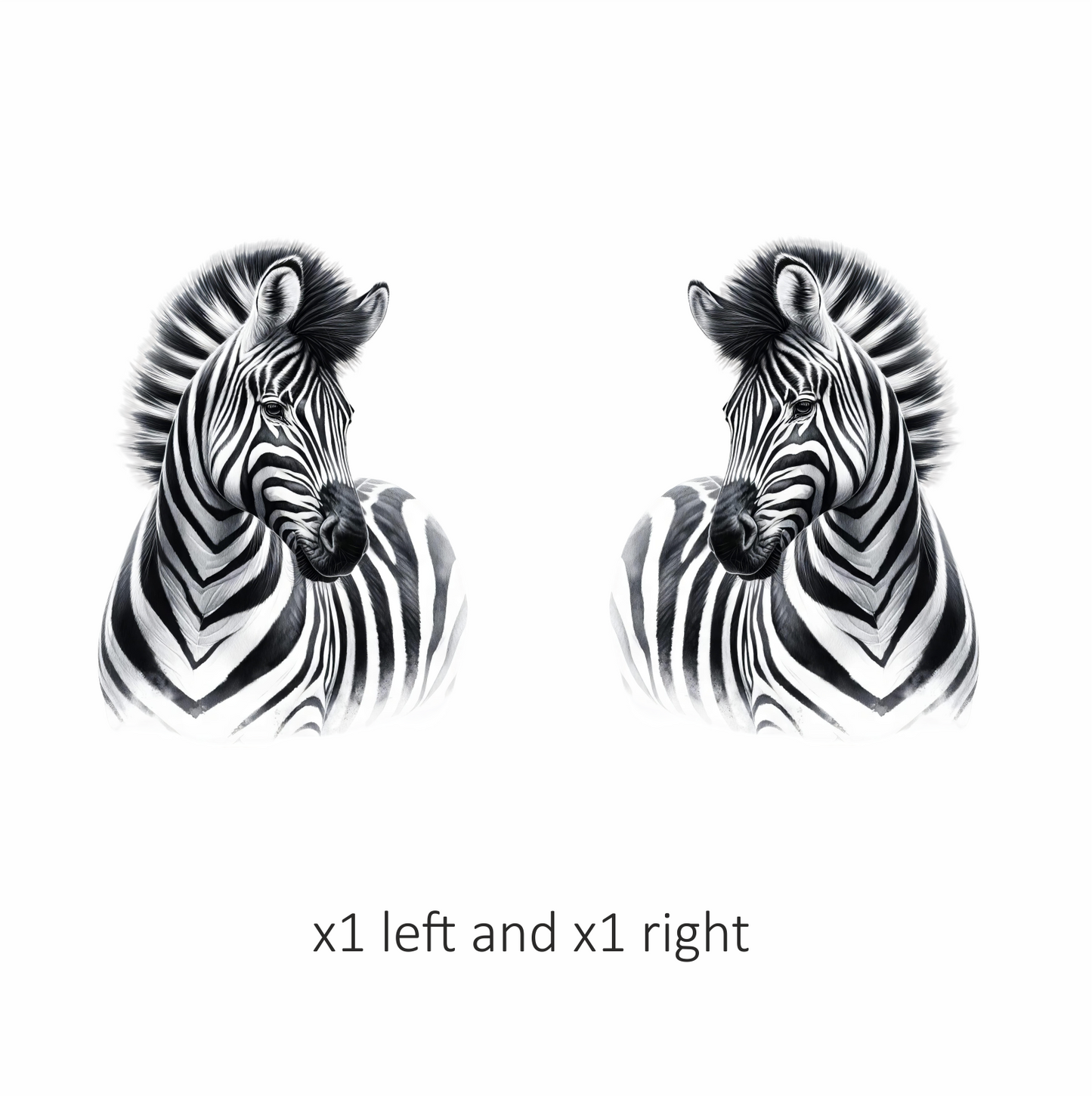 Black And White Plains Zebra Portrait Vinyl Sticker Decal.