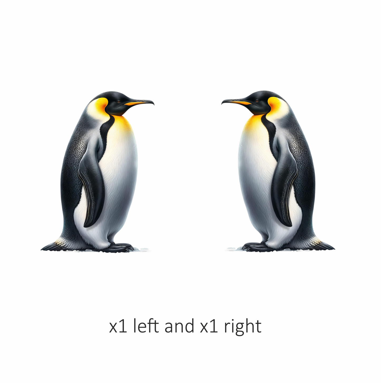 Black Emperor Penguin Standing Tall Vinyl Sticker Decal