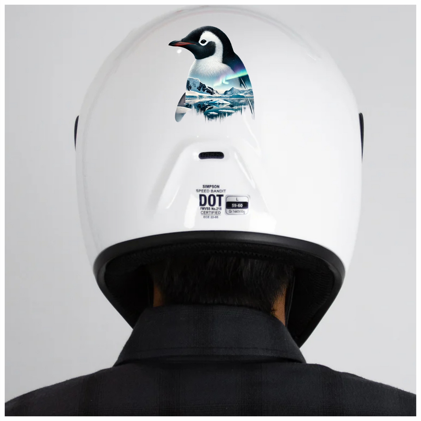 Black White Penguin Arctic Landscape Aurora Vinyl Sticker Decal