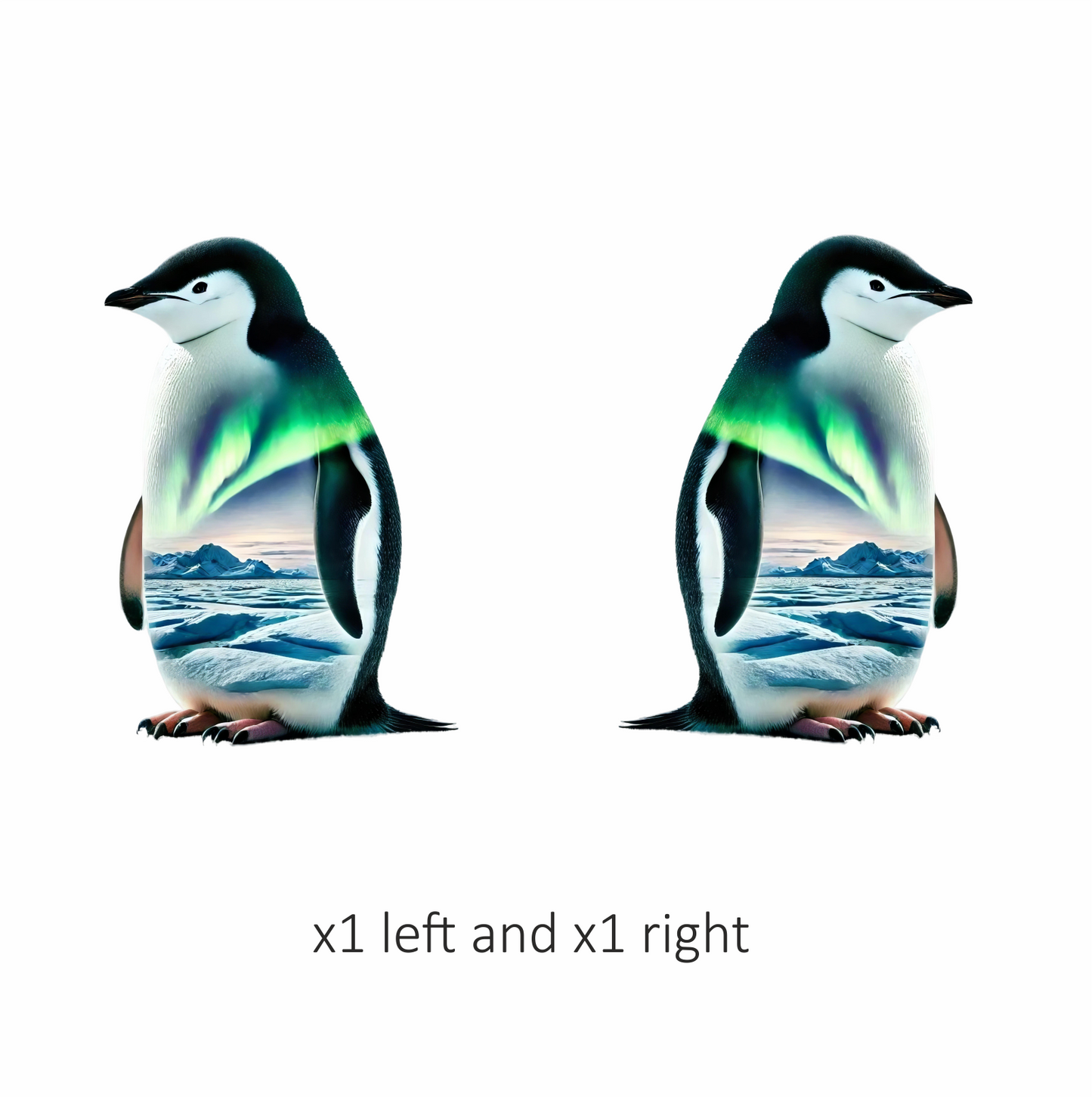Black White Penguin Standing Arctic Aurora Vinyl Sticker Decal