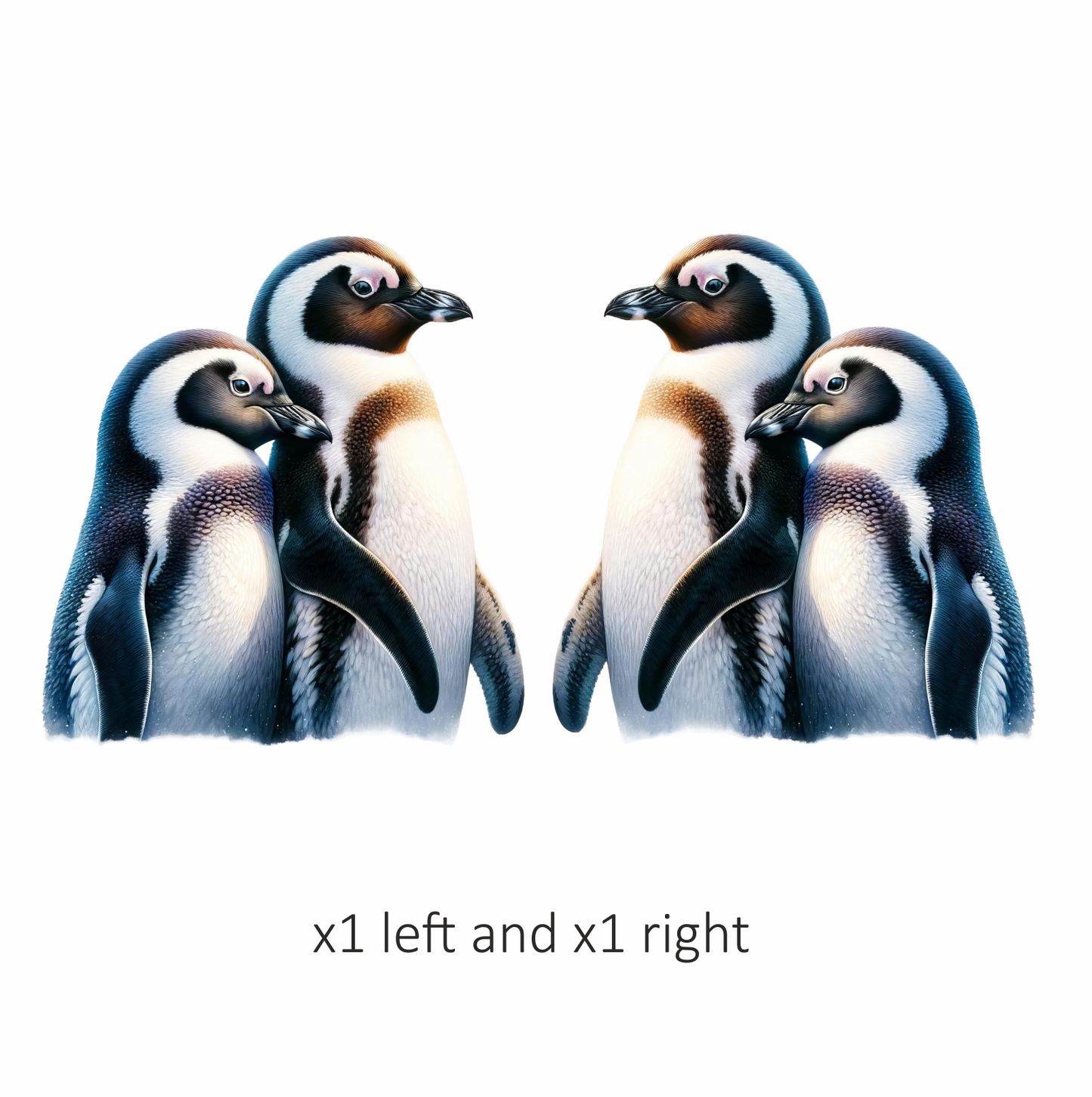 Black White Penguin Pair Standing Together Vinyl Sticker Decal