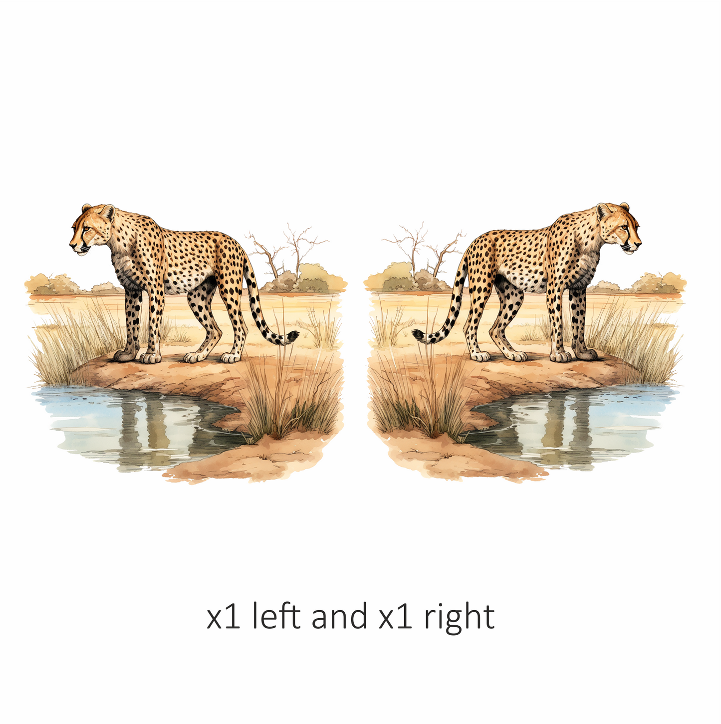Brown Cheetah Standing Near Water Reflection Vinyl Sticker Decal