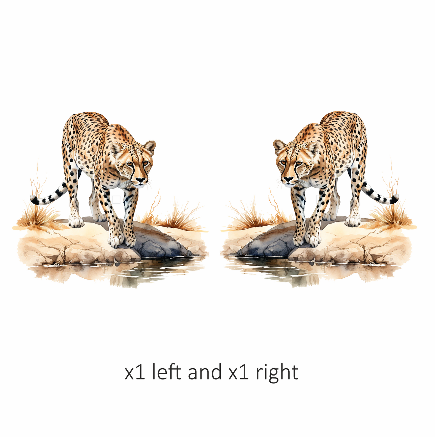 Brown Cheetah Walking On Rock Reflection Vinyl Sticker Decal