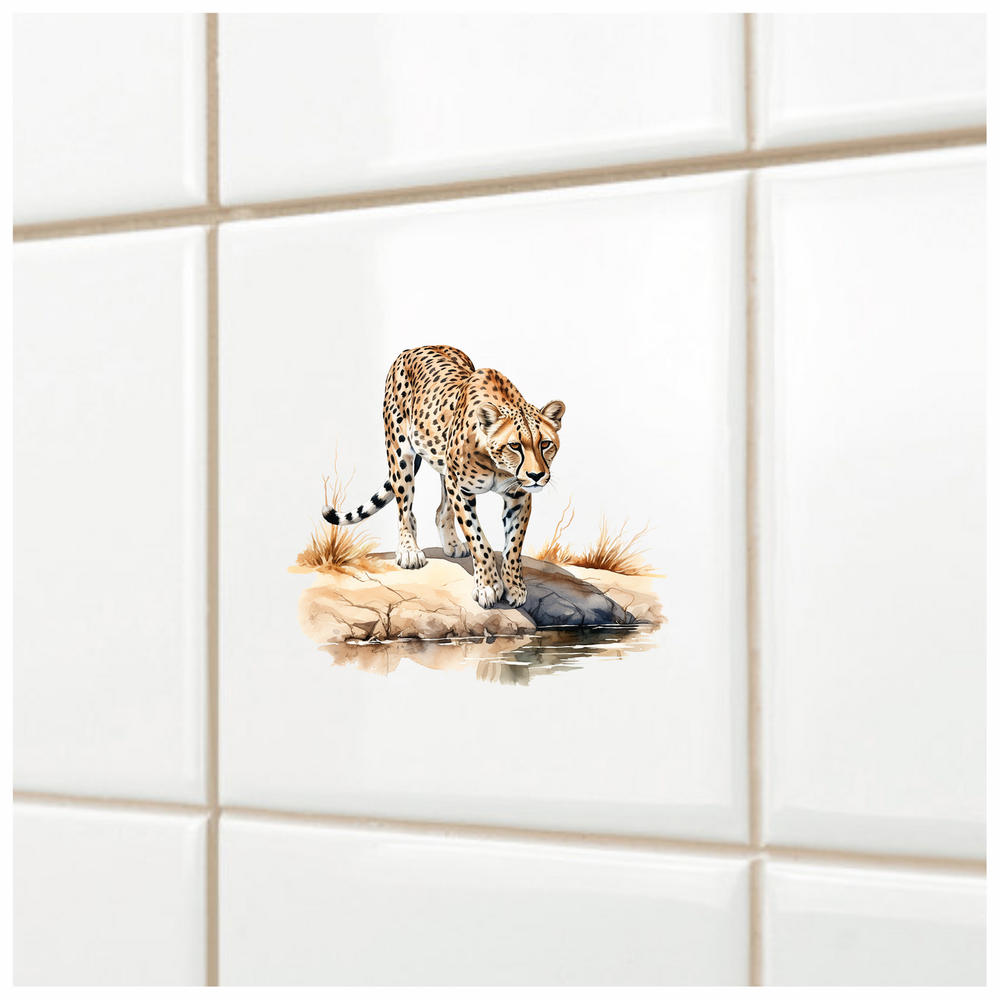 Brown Cheetah Walking On Rock Reflection Vinyl Sticker Decal