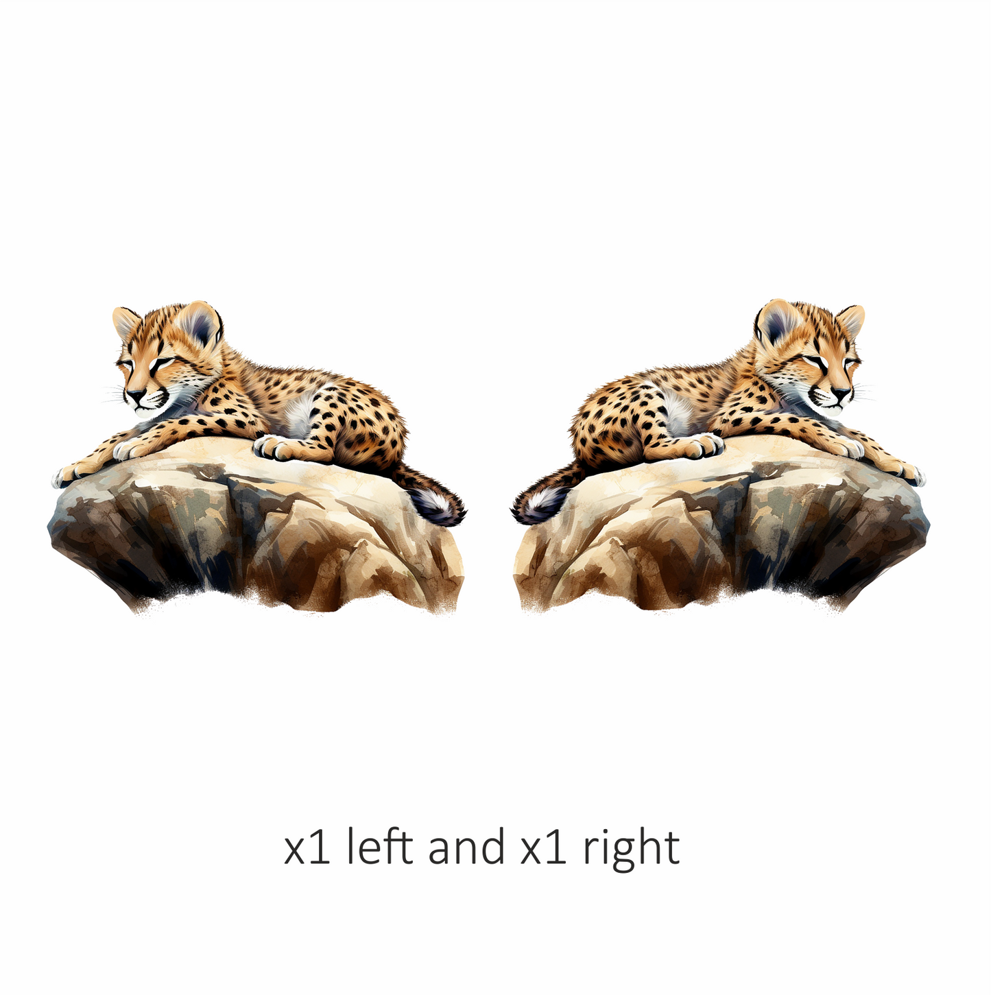 Brown Cheetah Cub Sleeping On Rock Vinyl Sticker Decal