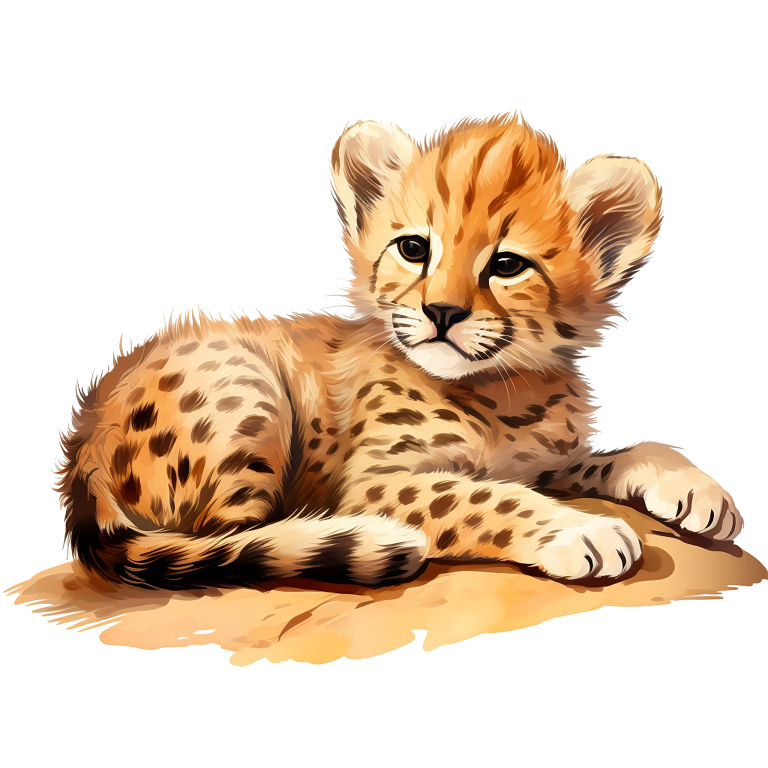 Brown Cheetah Cub Resting On Ground Vinyl Sticker Decal
