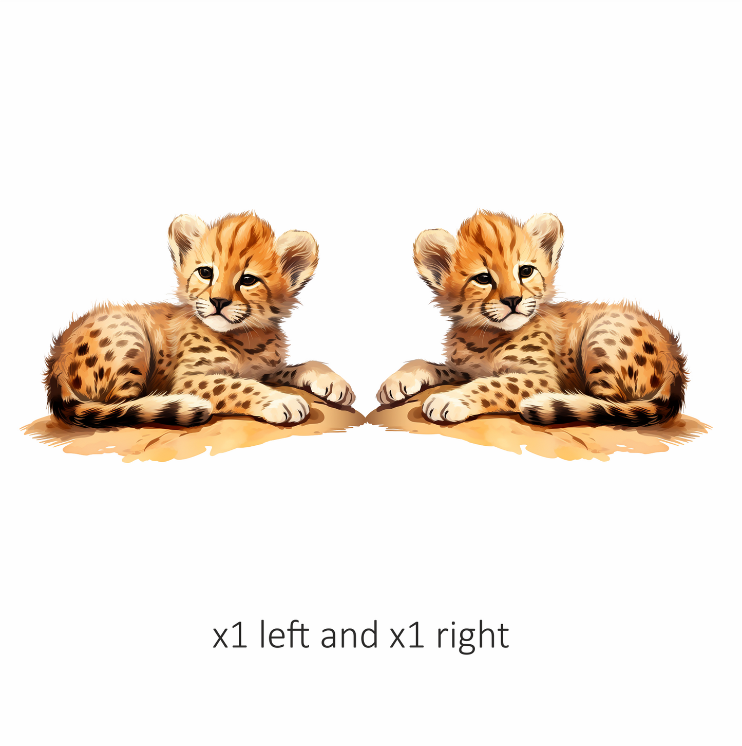 Brown Cheetah Cub Resting On Ground Vinyl Sticker Decal