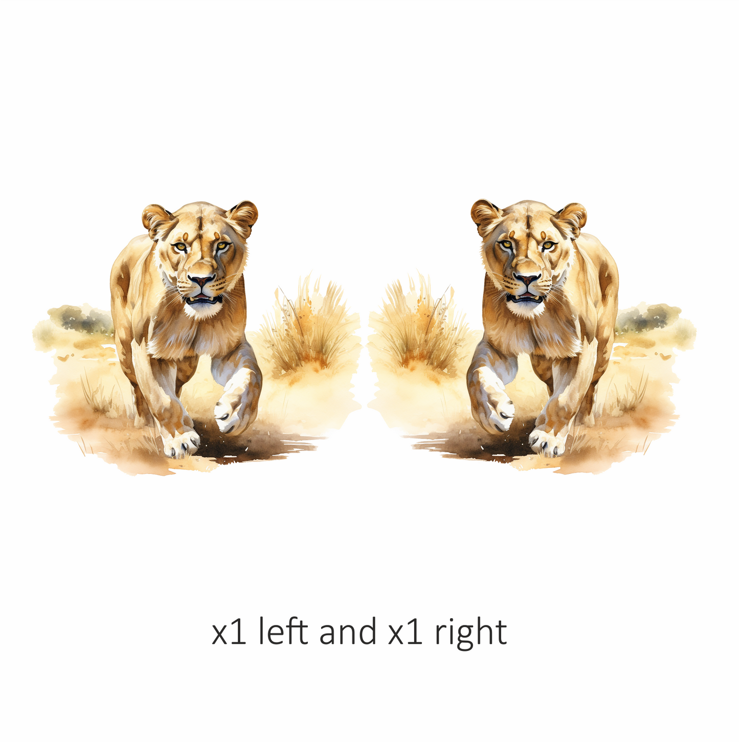 Brown Lioness Running On Dry Grass Vinyl Sticker Decal