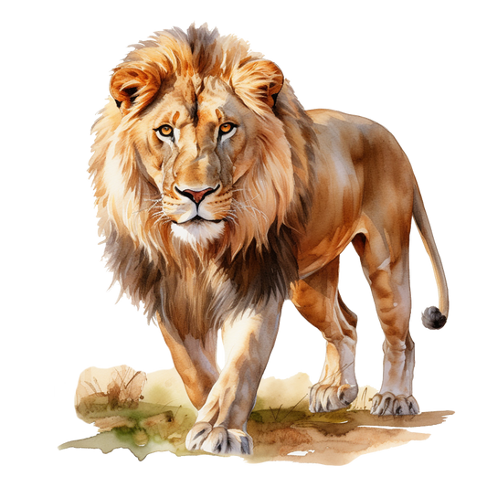 Golden Lion Walking On Green Grass Vinyl Sticker Decal