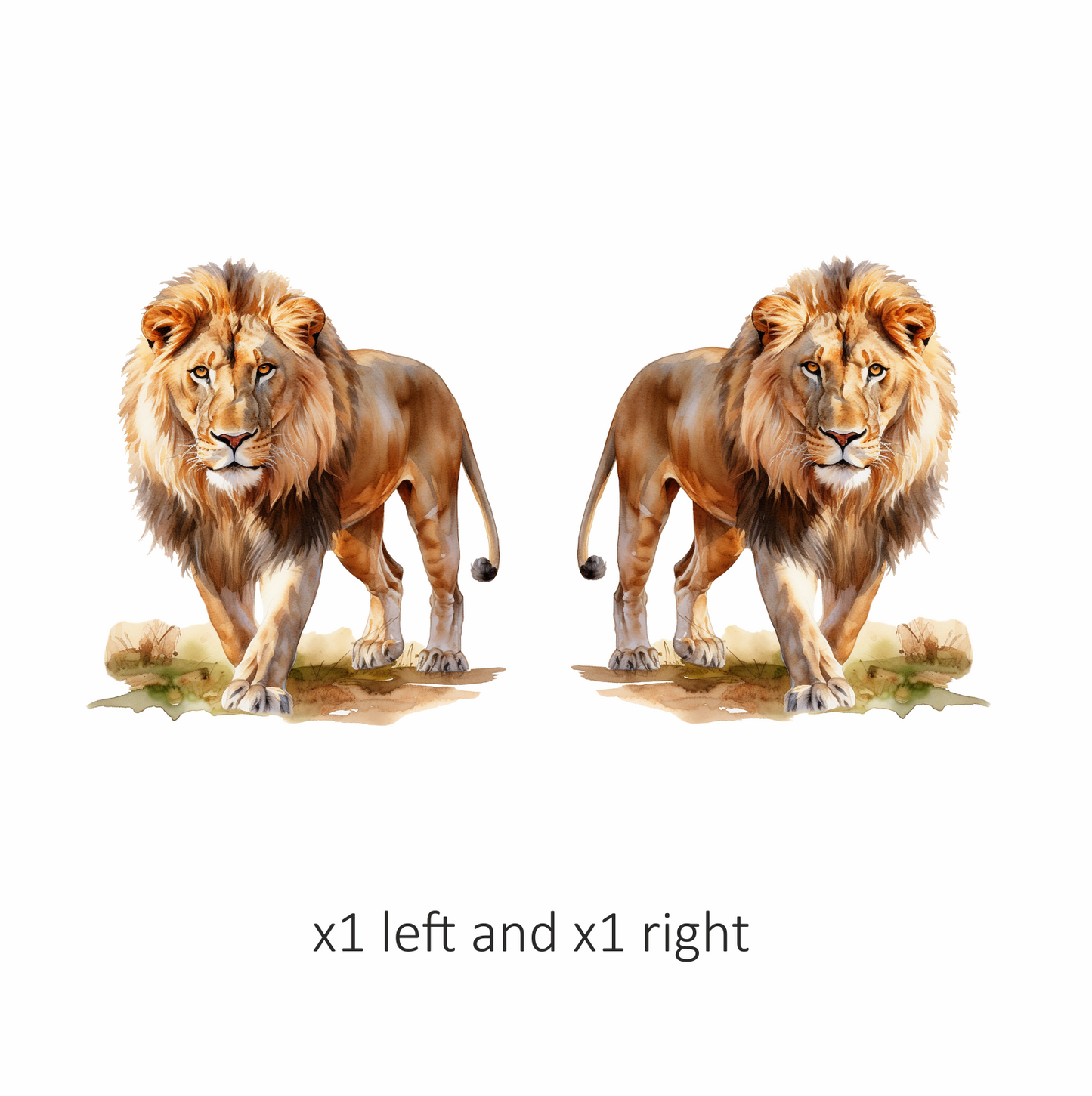 Golden Lion Walking On Green Grass Vinyl Sticker Decal