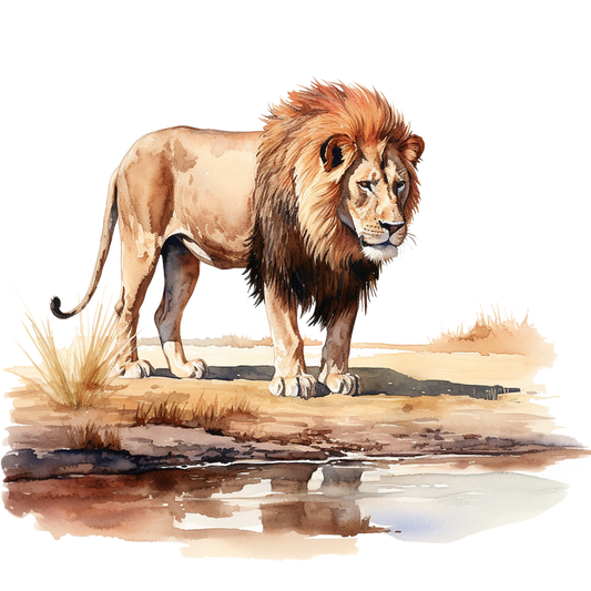 Brown Lion Standing Near Water Edge Vinyl Sticker Decal