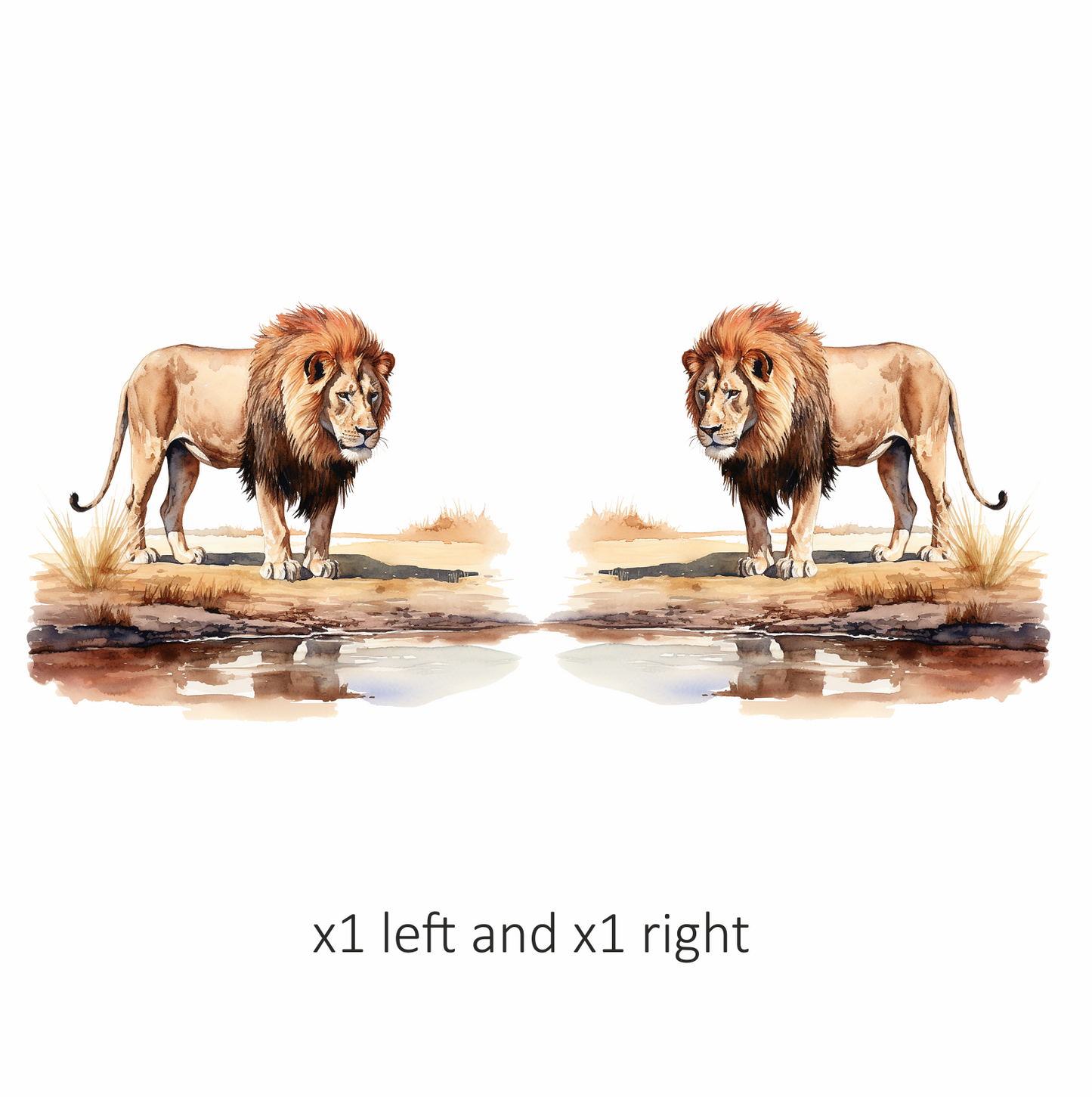 Brown Lion Standing Near Water Edge Vinyl Sticker Decal