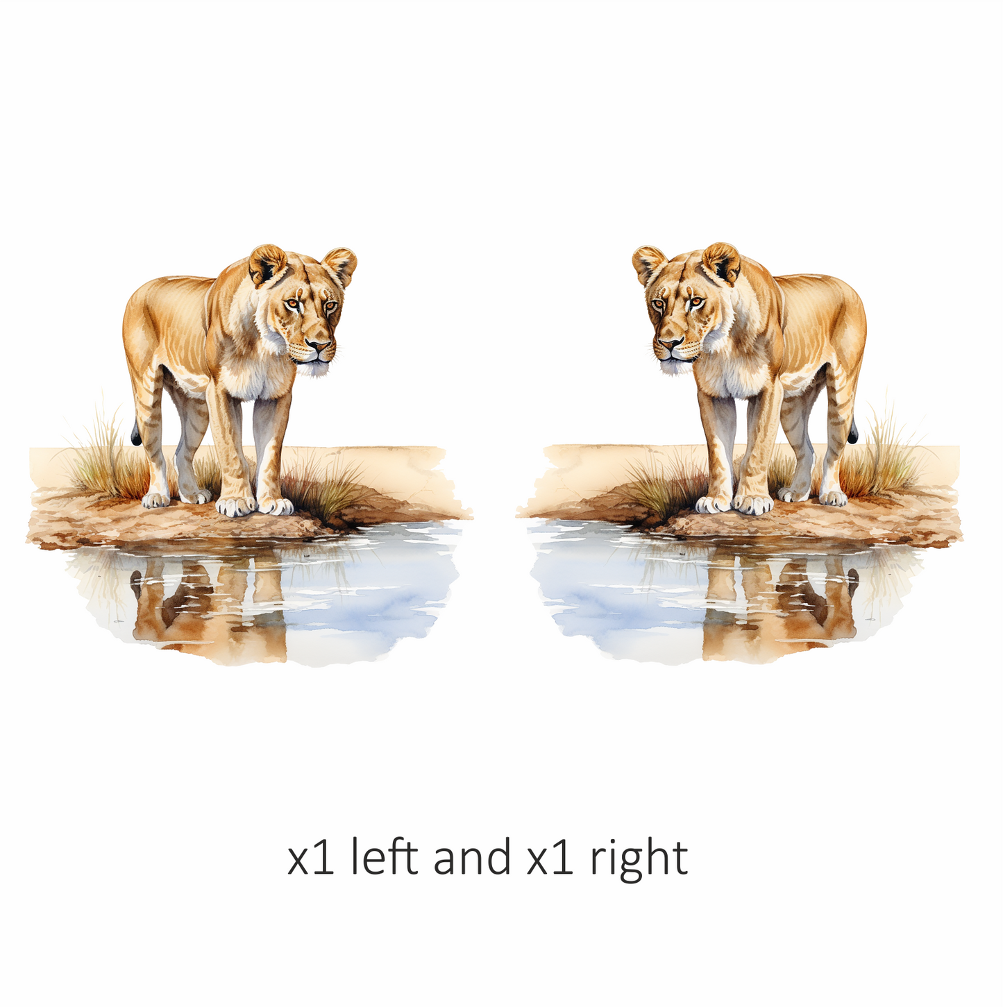 Brown Lioness Standing Beside Water Reflection Vinyl Sticker Decal