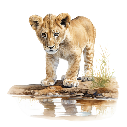 Brown Lion Cub Standing Near Water Vinyl Sticker Decal