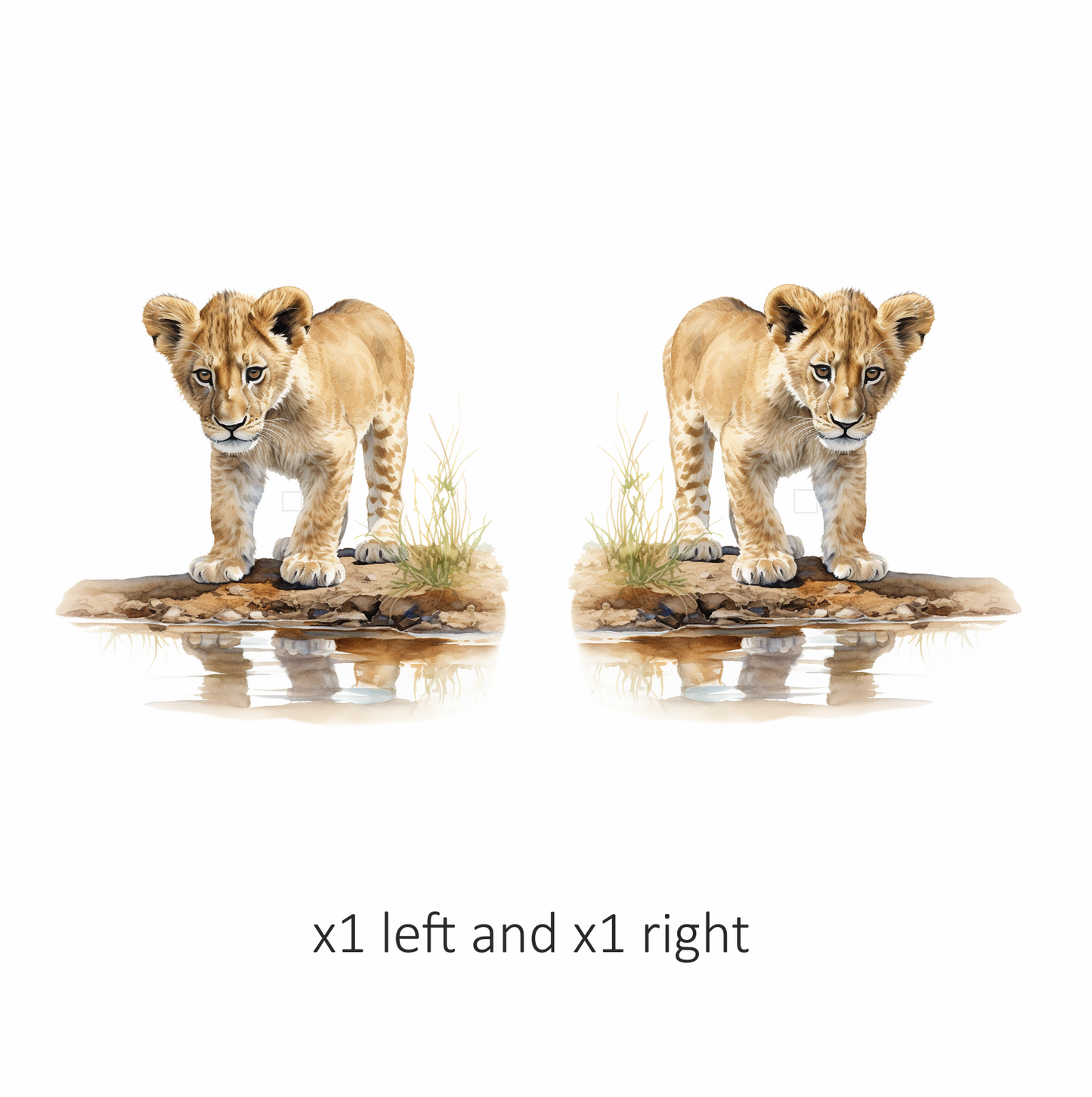 Brown Lion Cub Standing Near Water Vinyl Sticker Decal