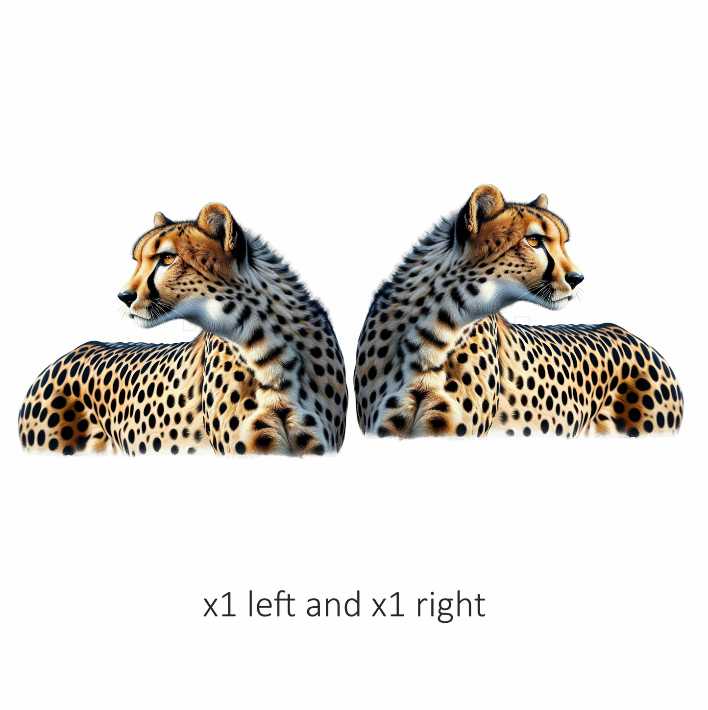 Golden Cheetah Resting Looking To Side Vinyl Sticker Decal