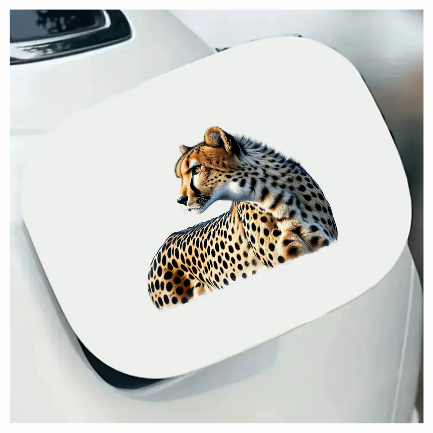 Golden Cheetah Resting Looking To Side Vinyl Sticker Decal