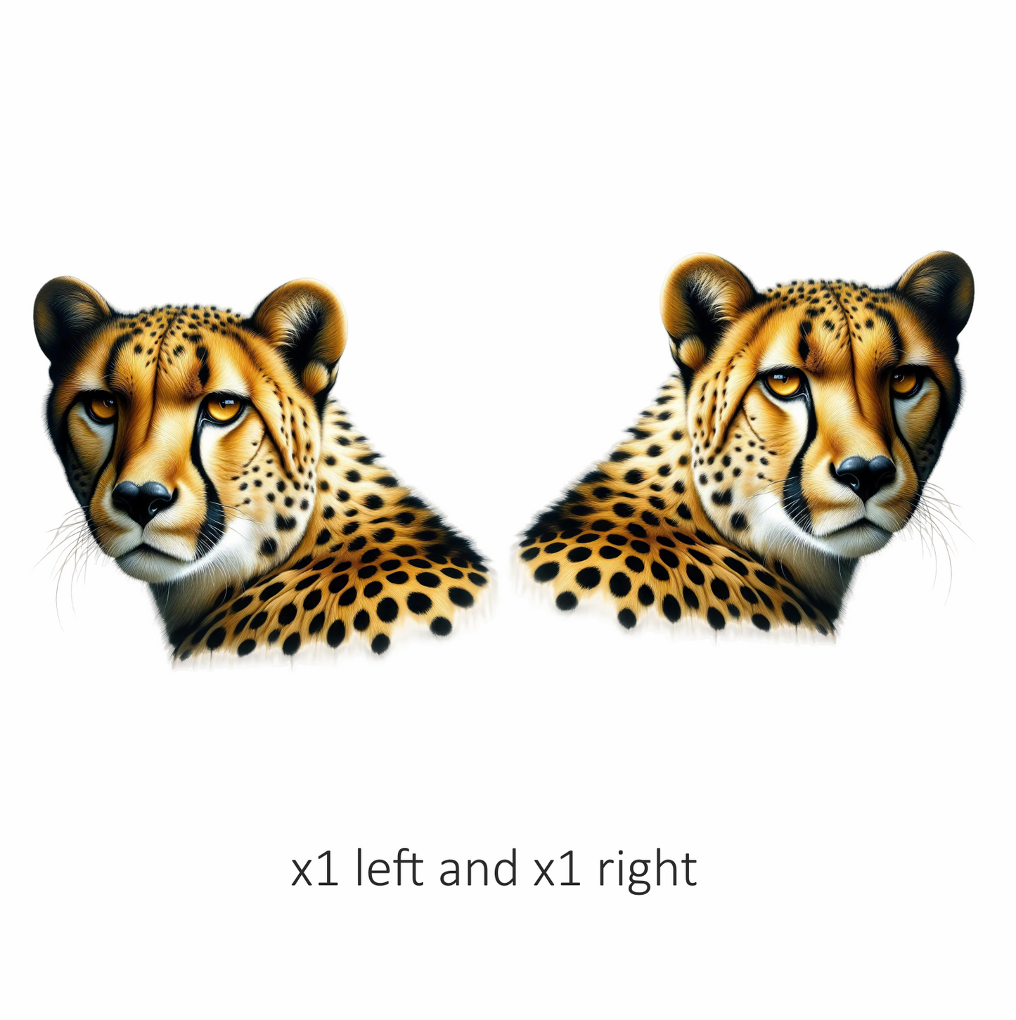 Golden Cheetah Face Close Up Portrait Vinyl Sticker Decal