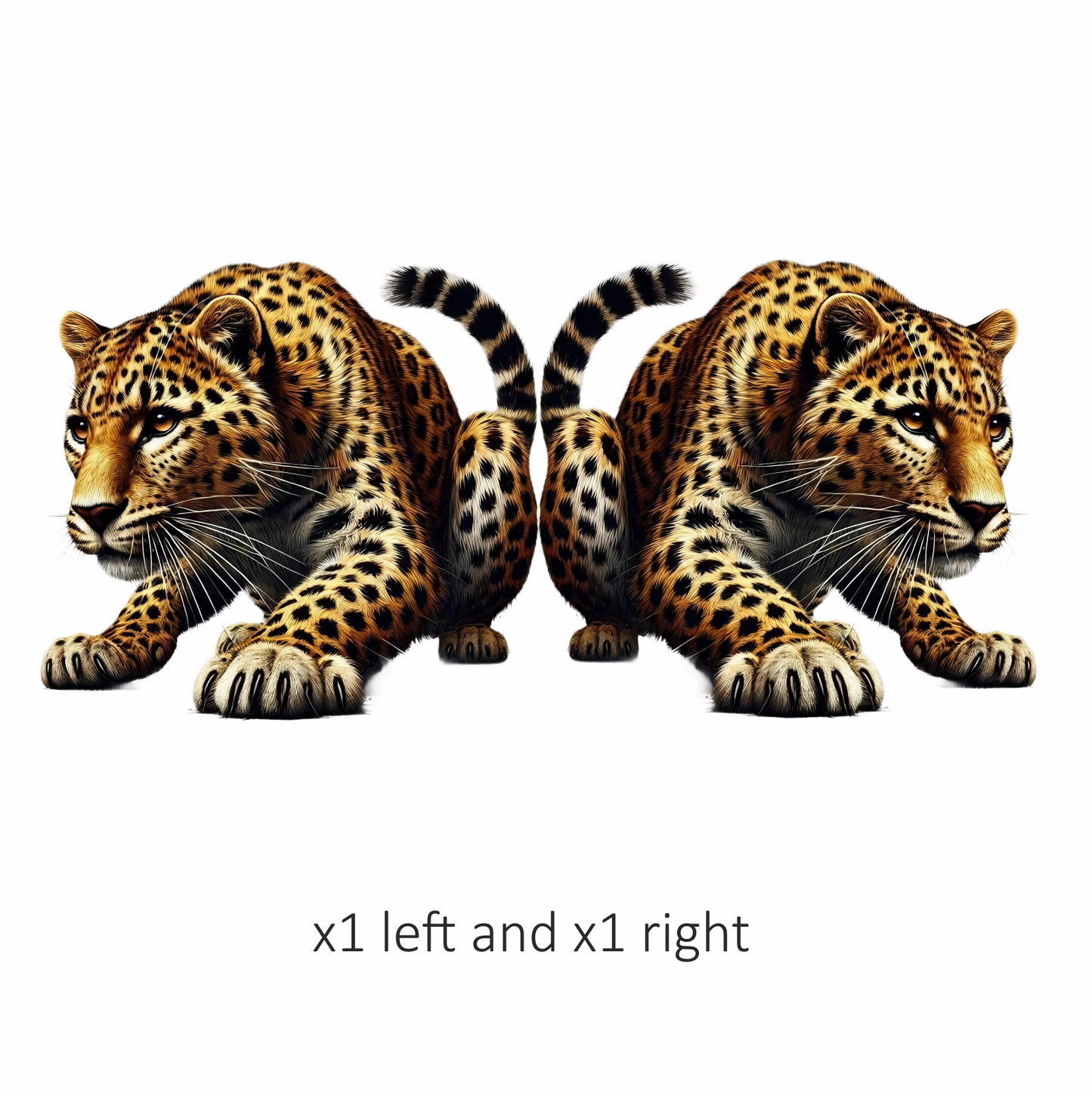 Golden Leopard Crouching Low Ready Stance Vinyl Sticker Decal