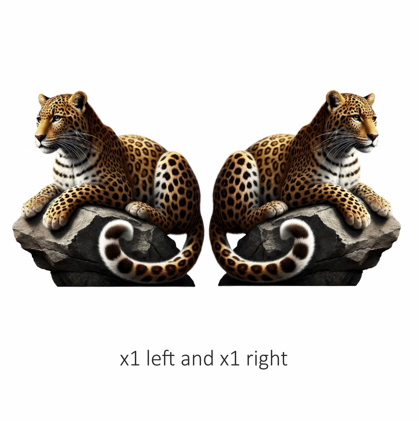 Golden Leopard Resting Calm On Rock Vinyl Sticker Decal