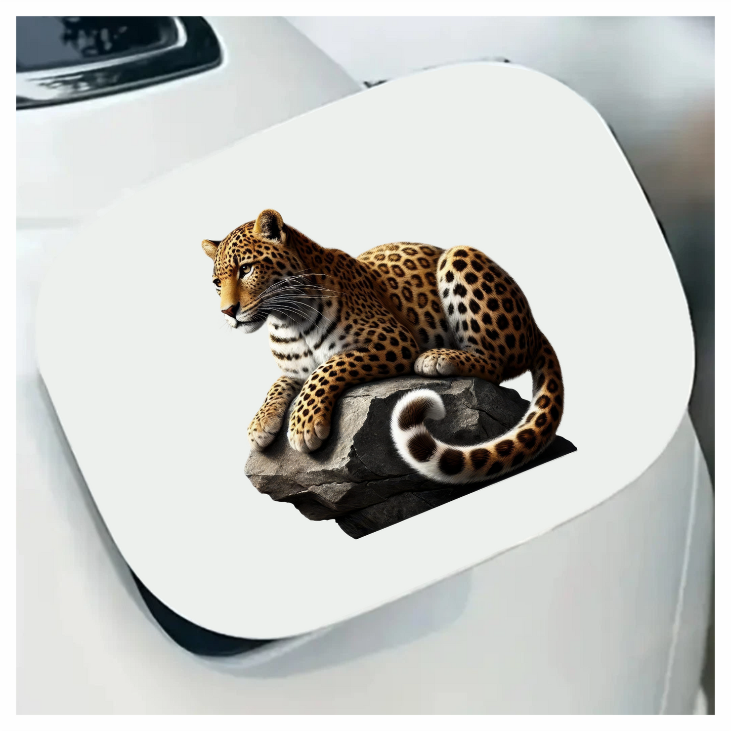 Golden Leopard Resting Calm On Rock Vinyl Sticker Decal