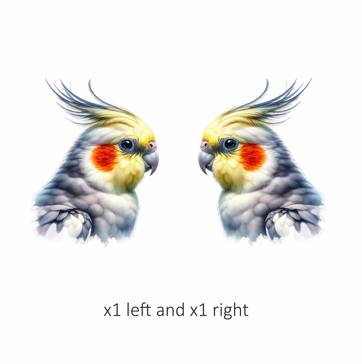 Grey Cockatiel Parrot With Orange Cheek Vinyl Sticker Decal