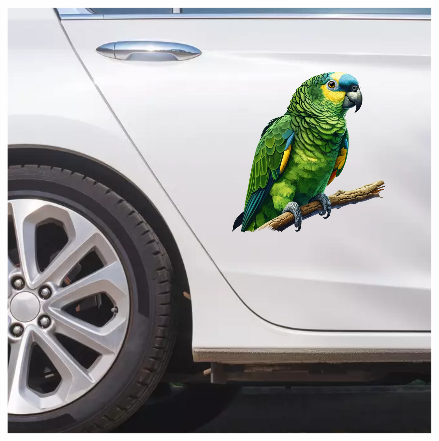 Green Parrot Amazon Sitting On Branch Vinyl Sticker Decal