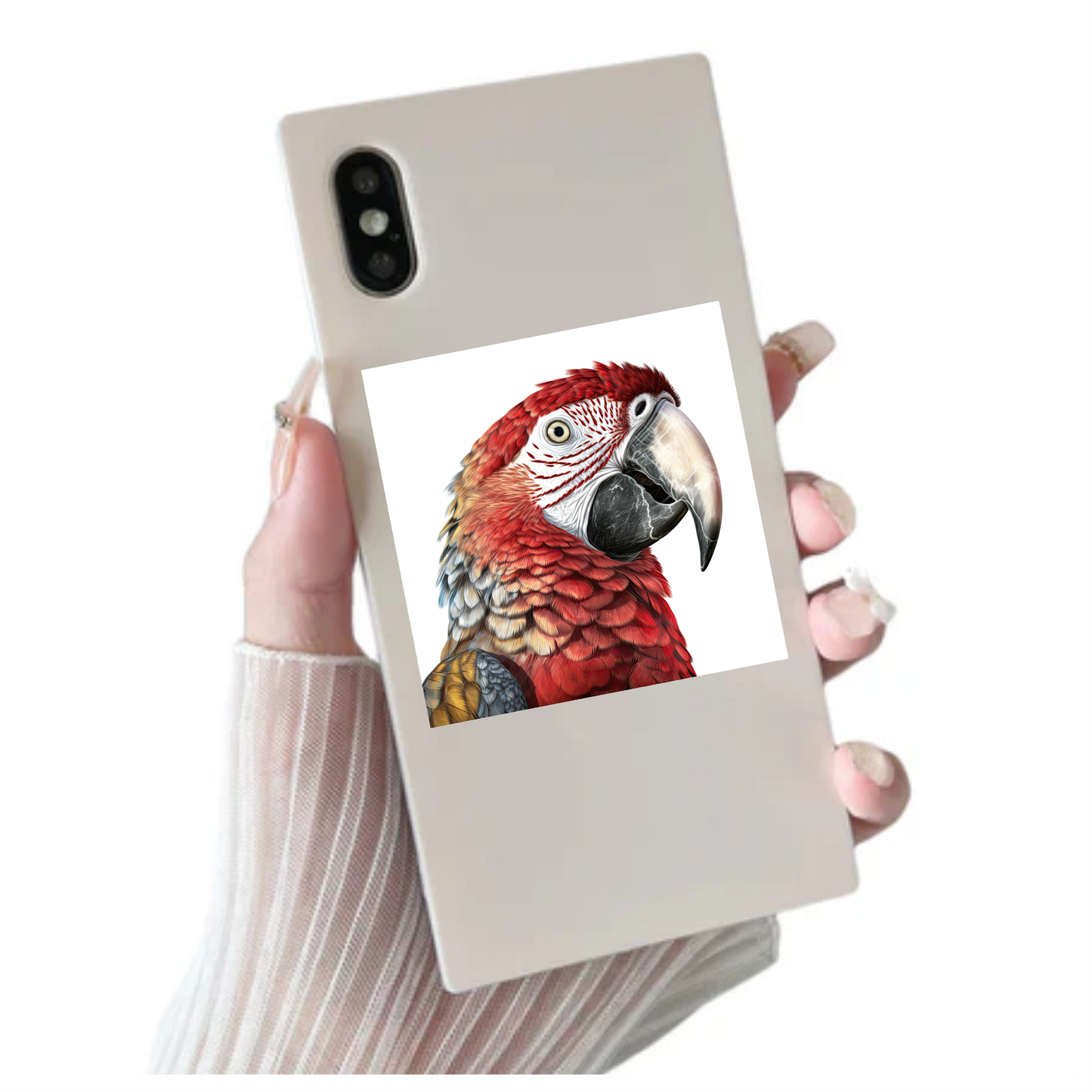 Red Macaw Parrot With Large Beak Vinyl Sticker Decal