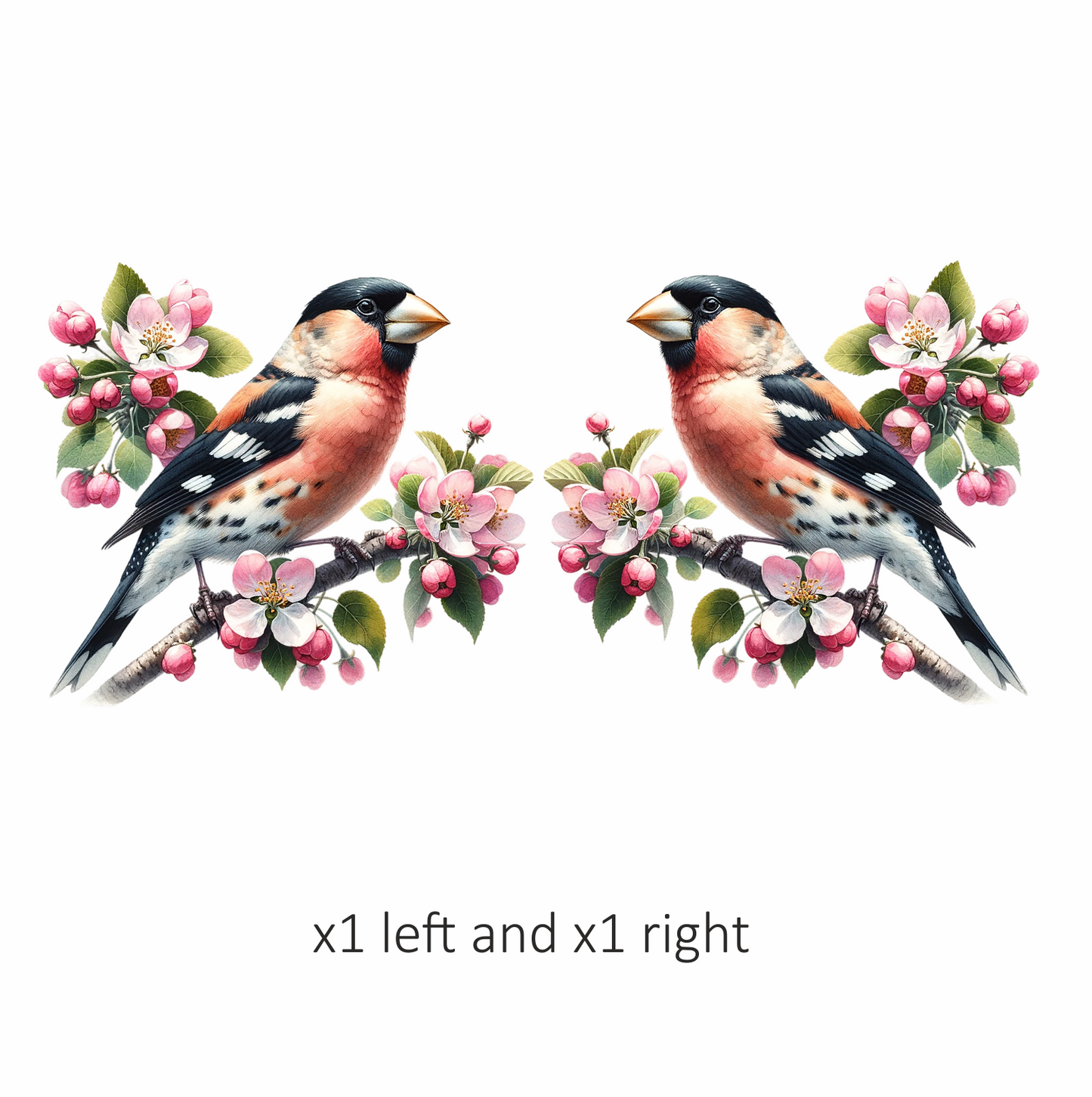Orange Bullfinch Bird With Pink Flowers Vinyl Sticker Decal