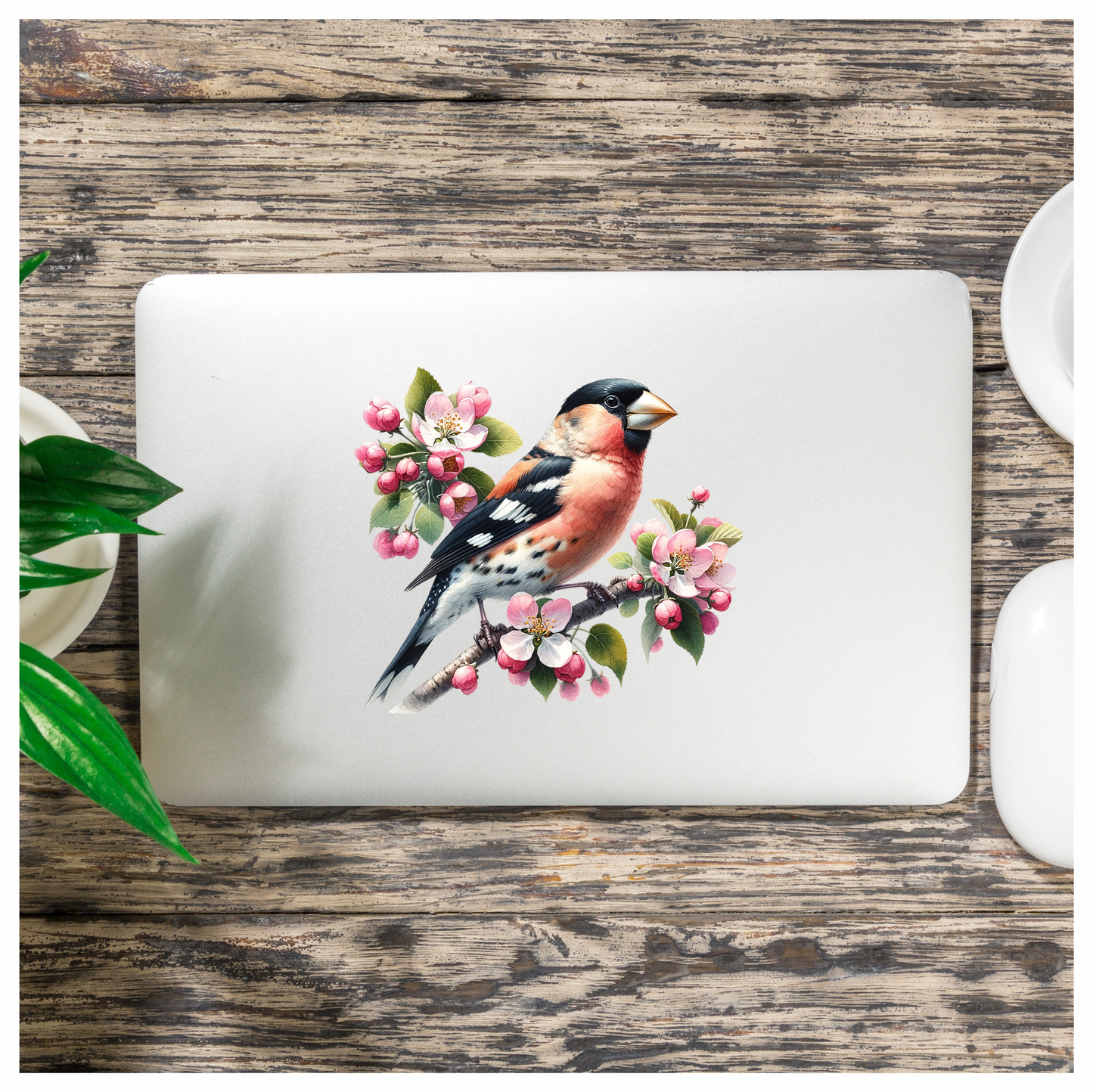 Orange Bullfinch Bird With Pink Flowers Vinyl Sticker Decal