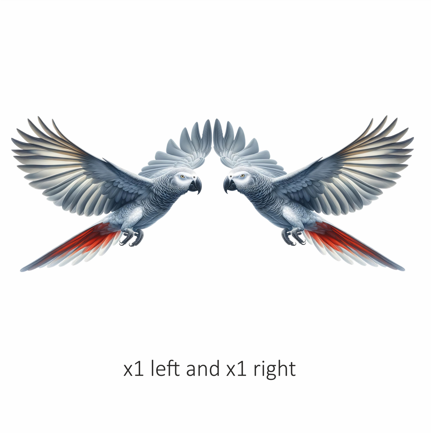 Grey Parrot Bird With Wide Wings Vinyl Sticker Decal