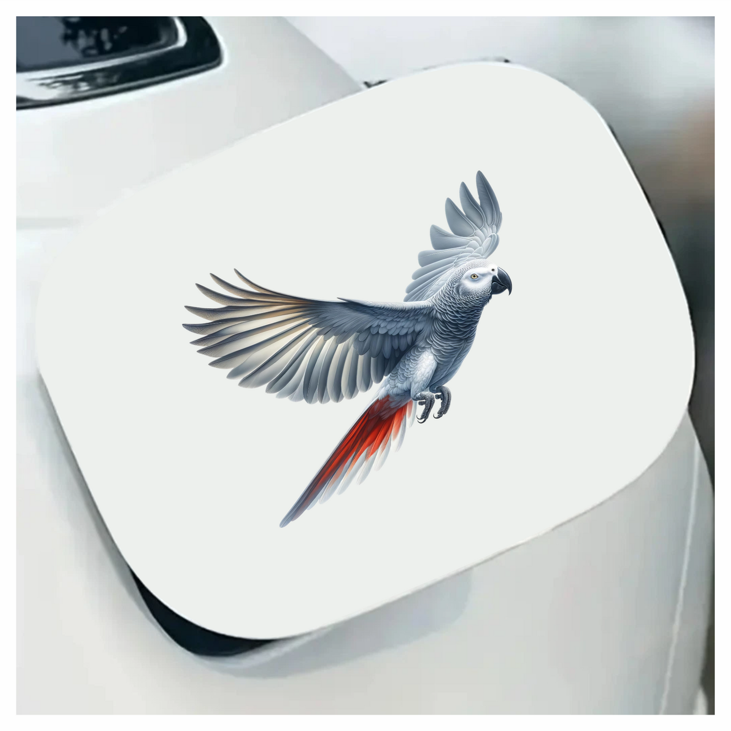 Grey Parrot Bird With Wide Wings Vinyl Sticker Decal