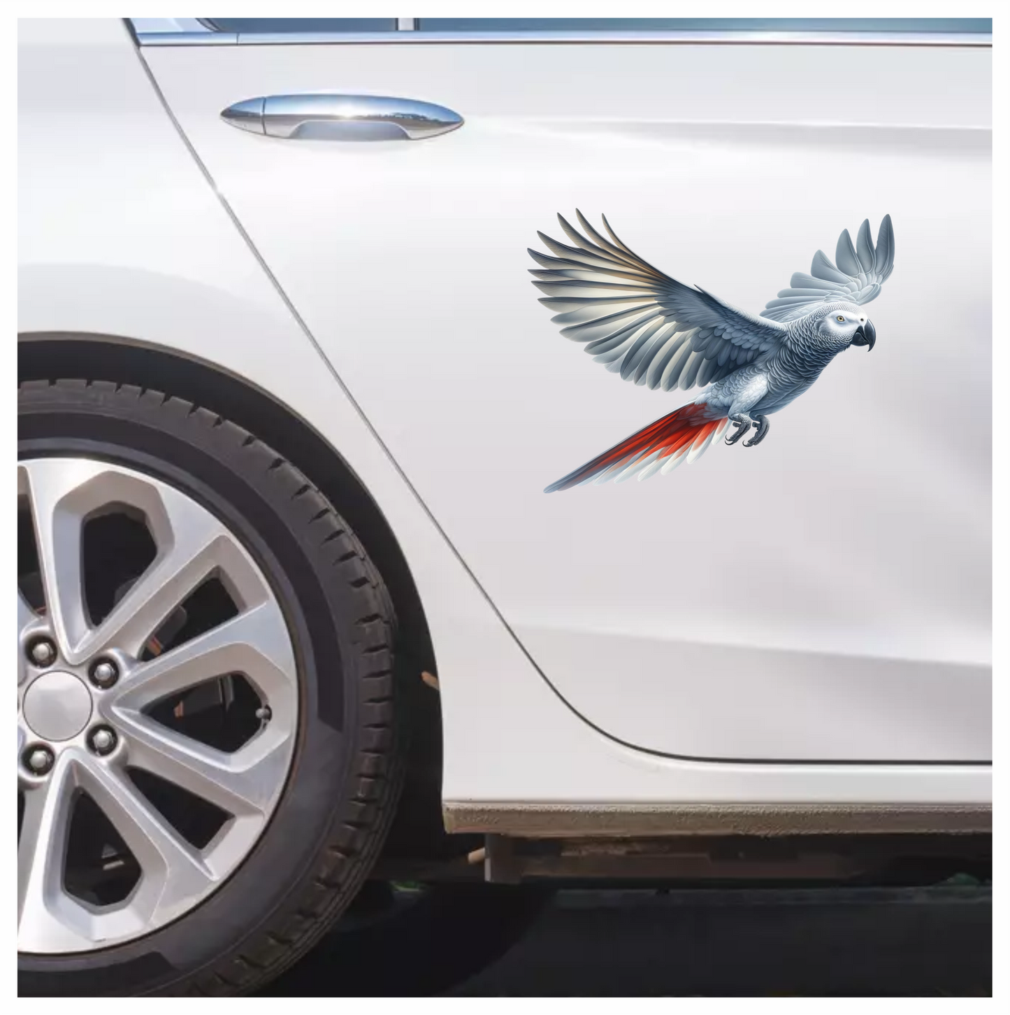 Grey Parrot Bird With Wide Wings Vinyl Sticker Decal