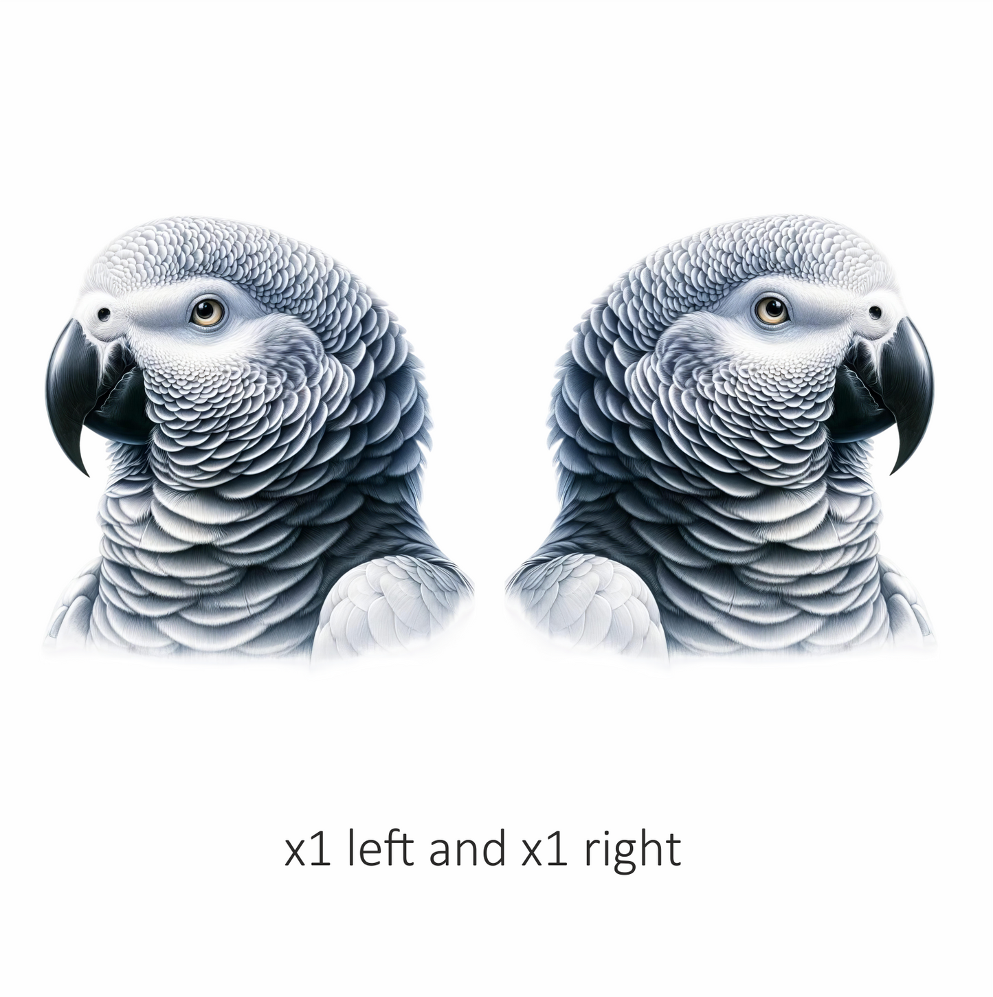 Grey Parrot Bird Head Close Up Vinyl Sticker Decal