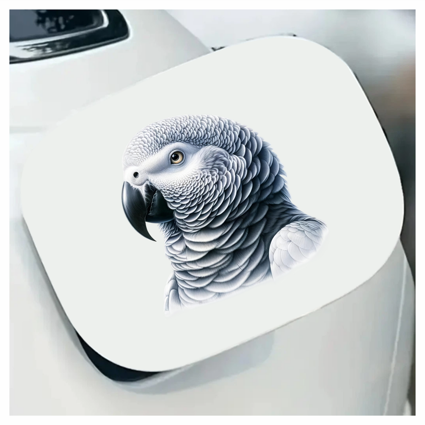 Grey Parrot Bird Head Close Up Vinyl Sticker Decal