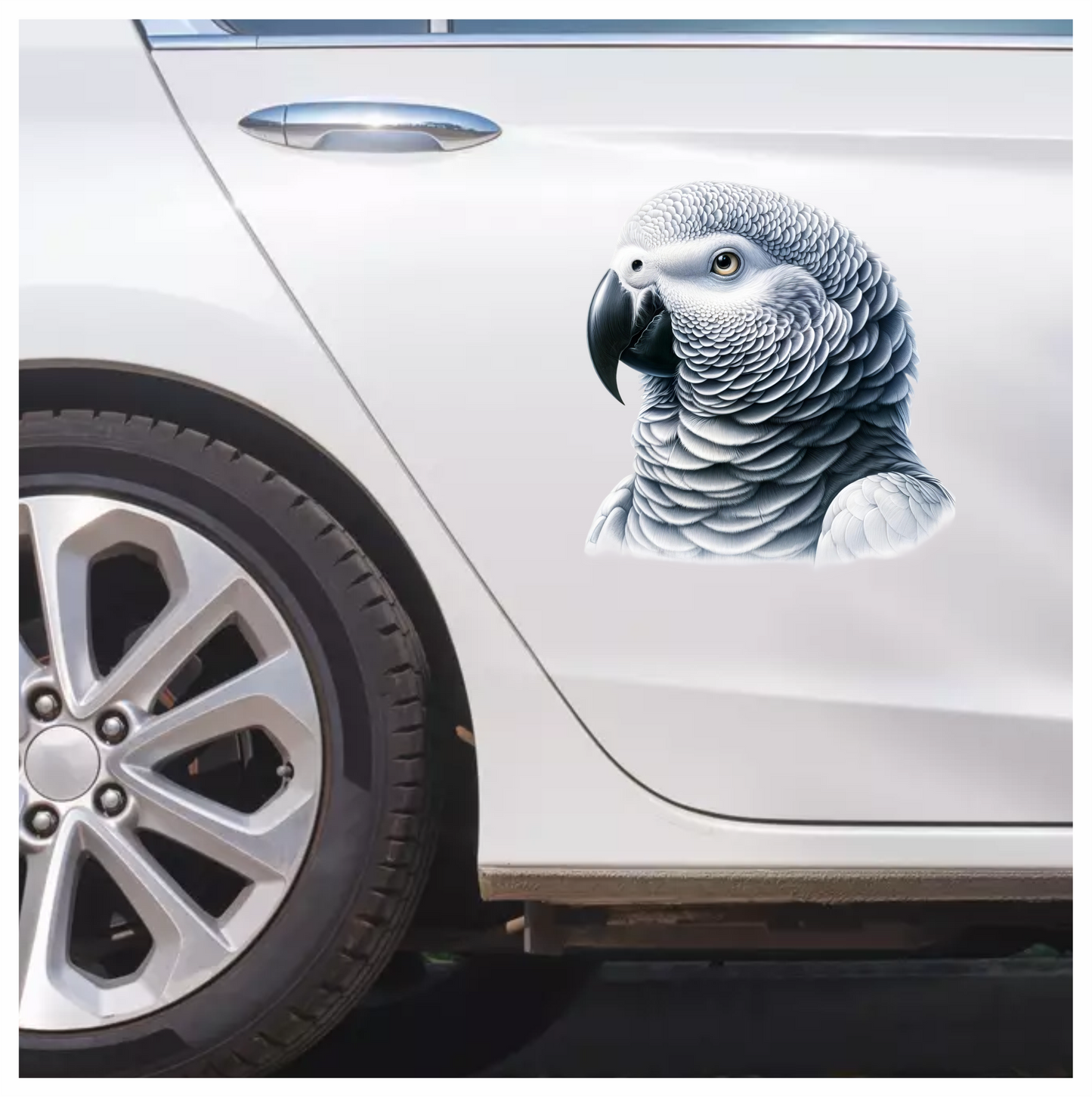 Grey Parrot Bird Head Close Up Vinyl Sticker Decal