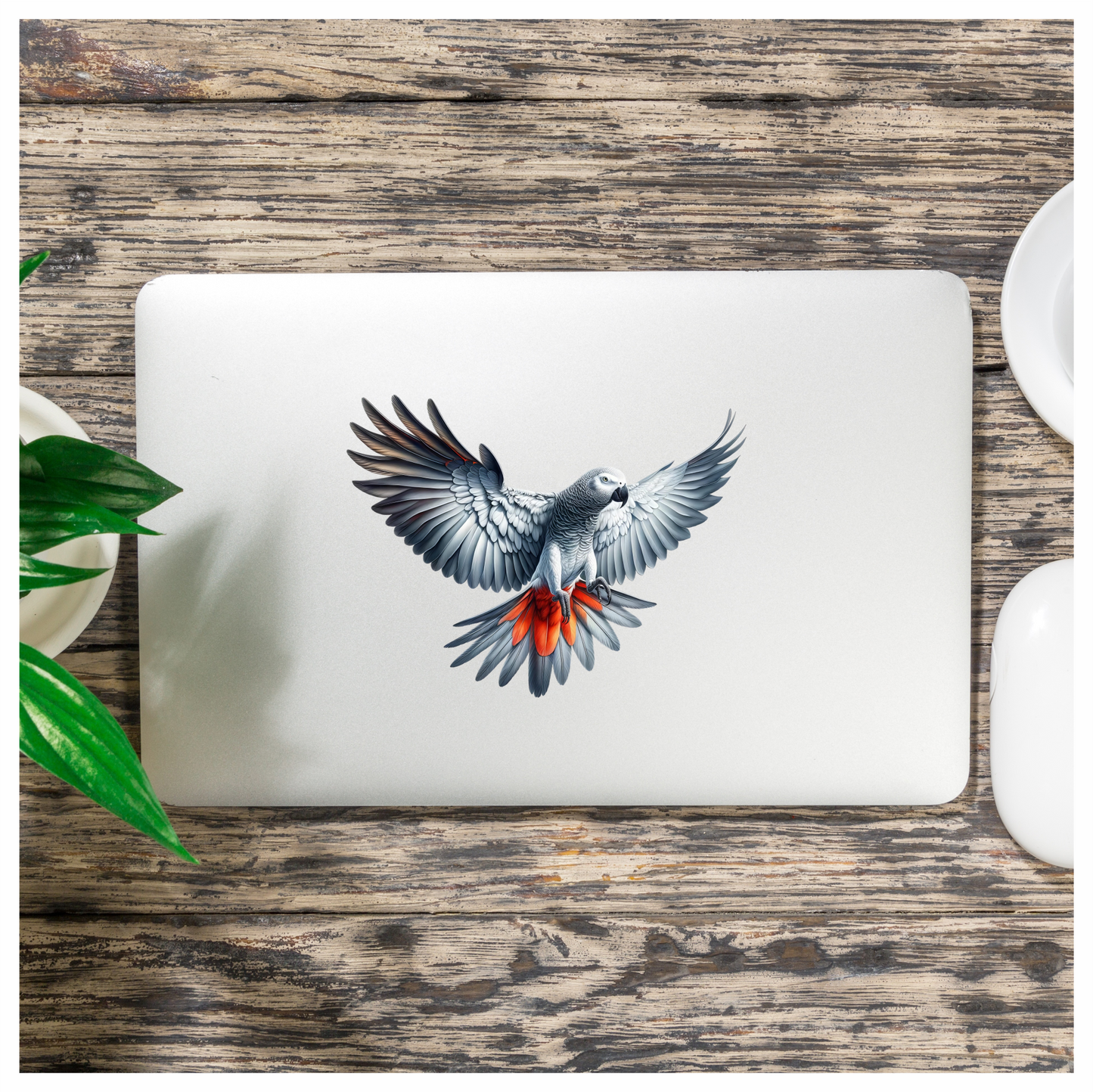 Grey Parrot Bird With Red Feathers Vinyl Sticker Decal