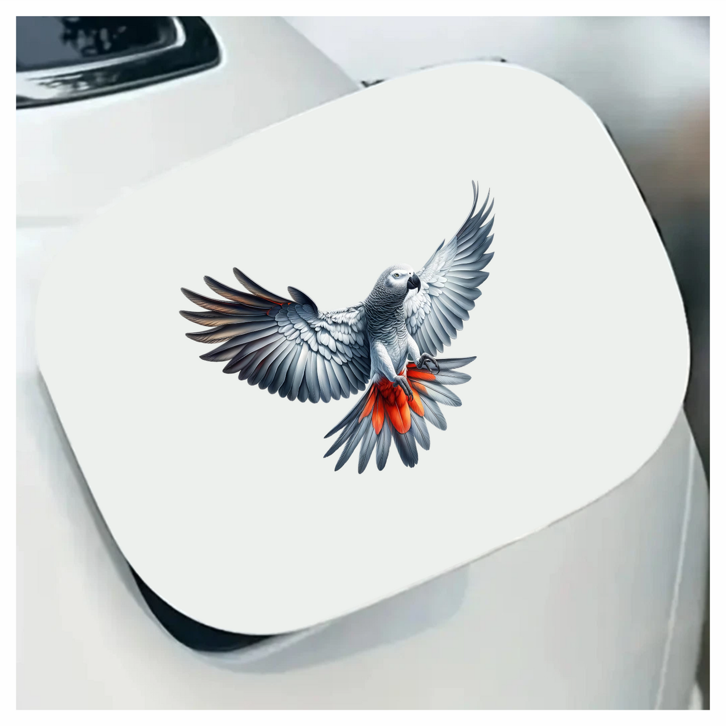 Grey Parrot Bird With Red Feathers Vinyl Sticker Decal