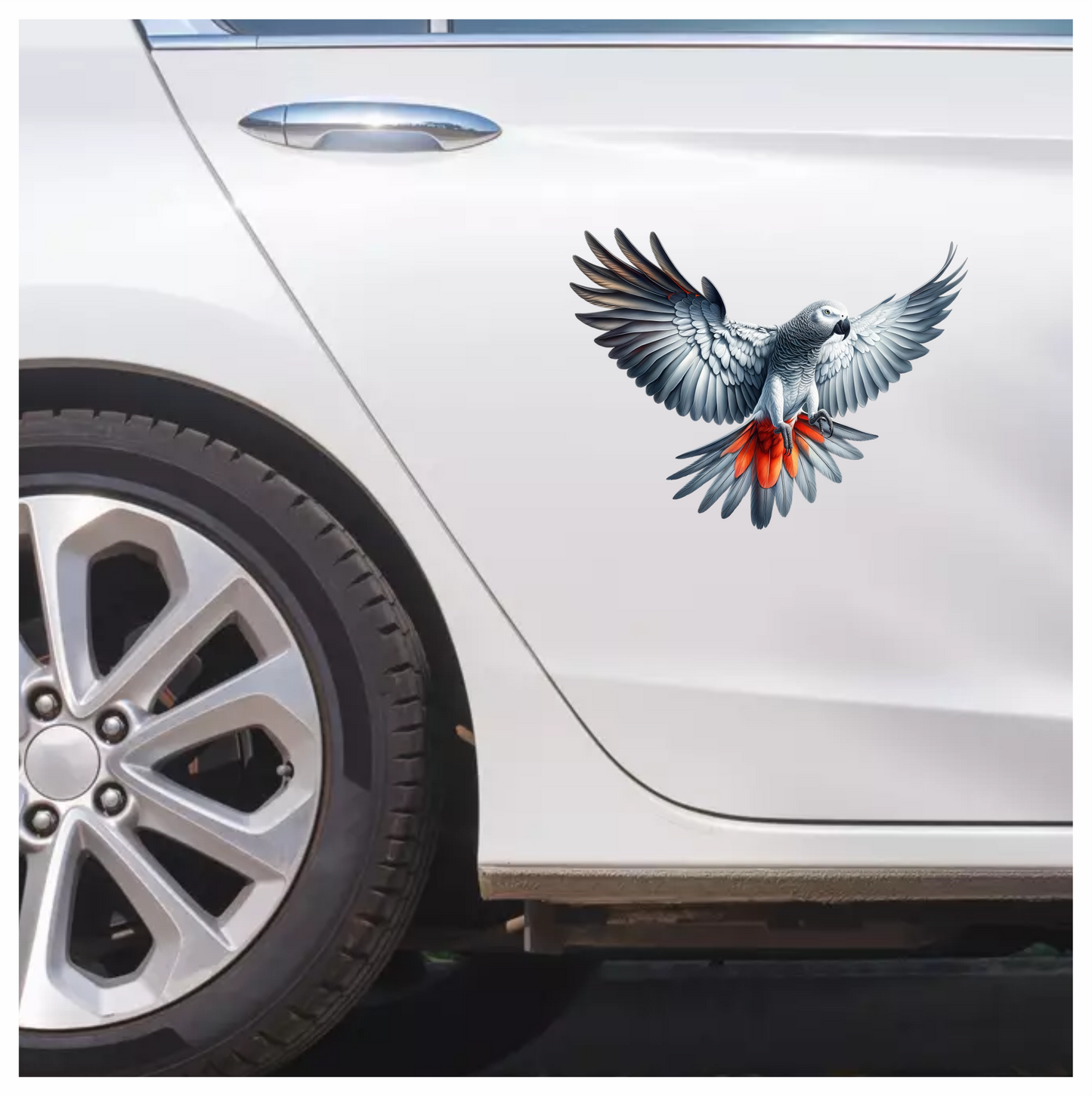 Grey Parrot Bird With Red Feathers Vinyl Sticker Decal