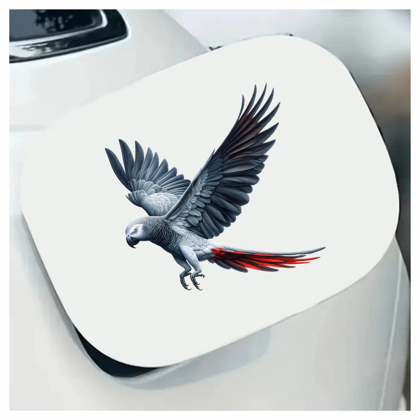 Grey Parrot Bird With Red Tail Vinyl Sticker Decal