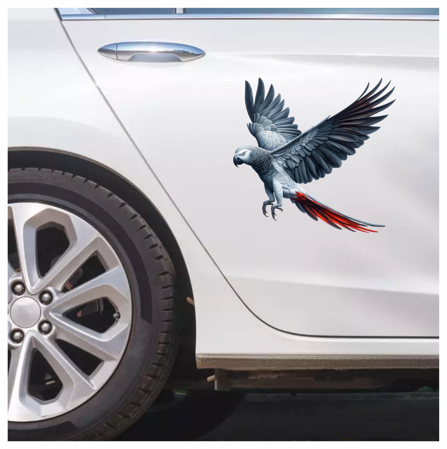Grey Parrot Bird With Red Tail Vinyl Sticker Decal