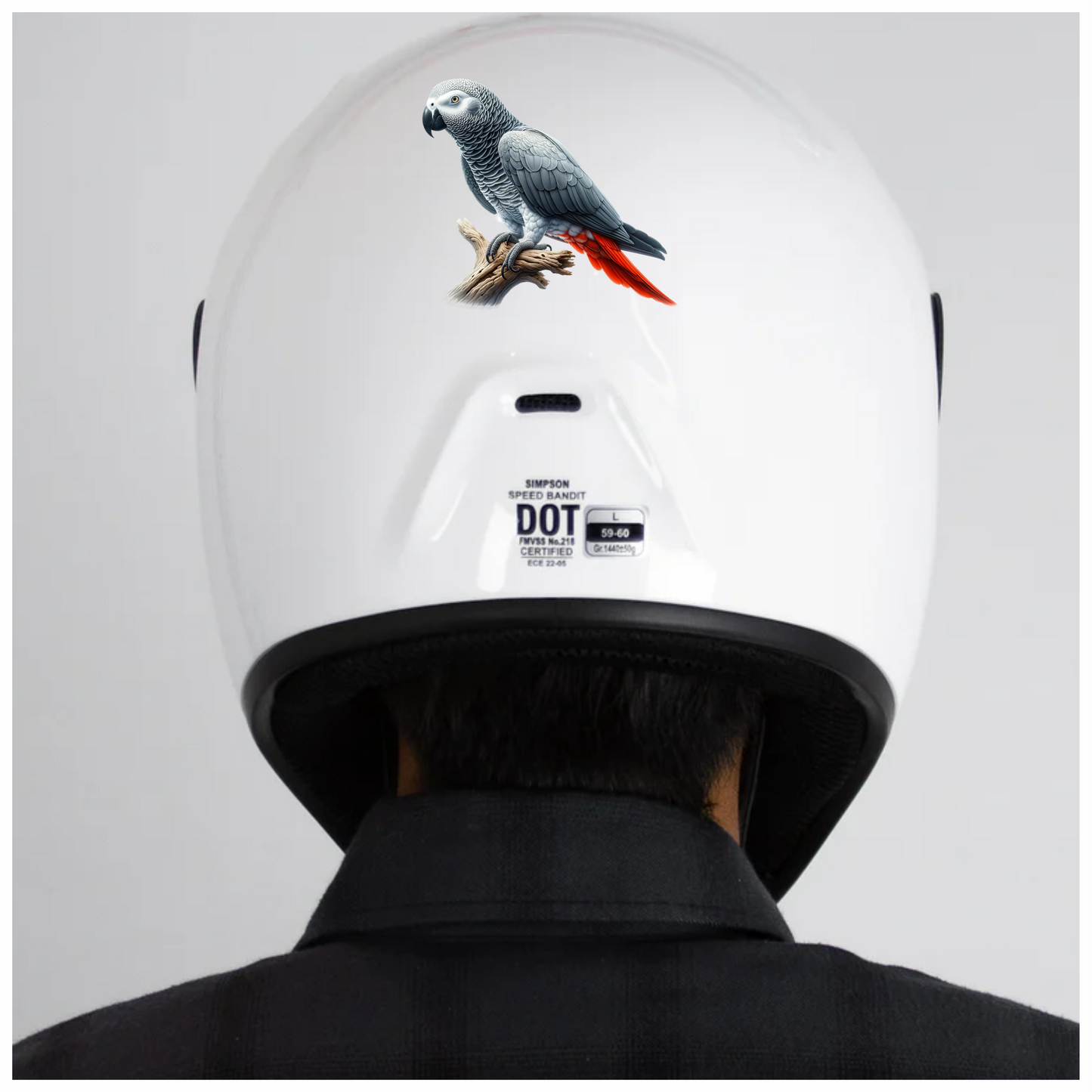 Grey Parrot Bird With Red Feathers Vinyl Sticker Decal
