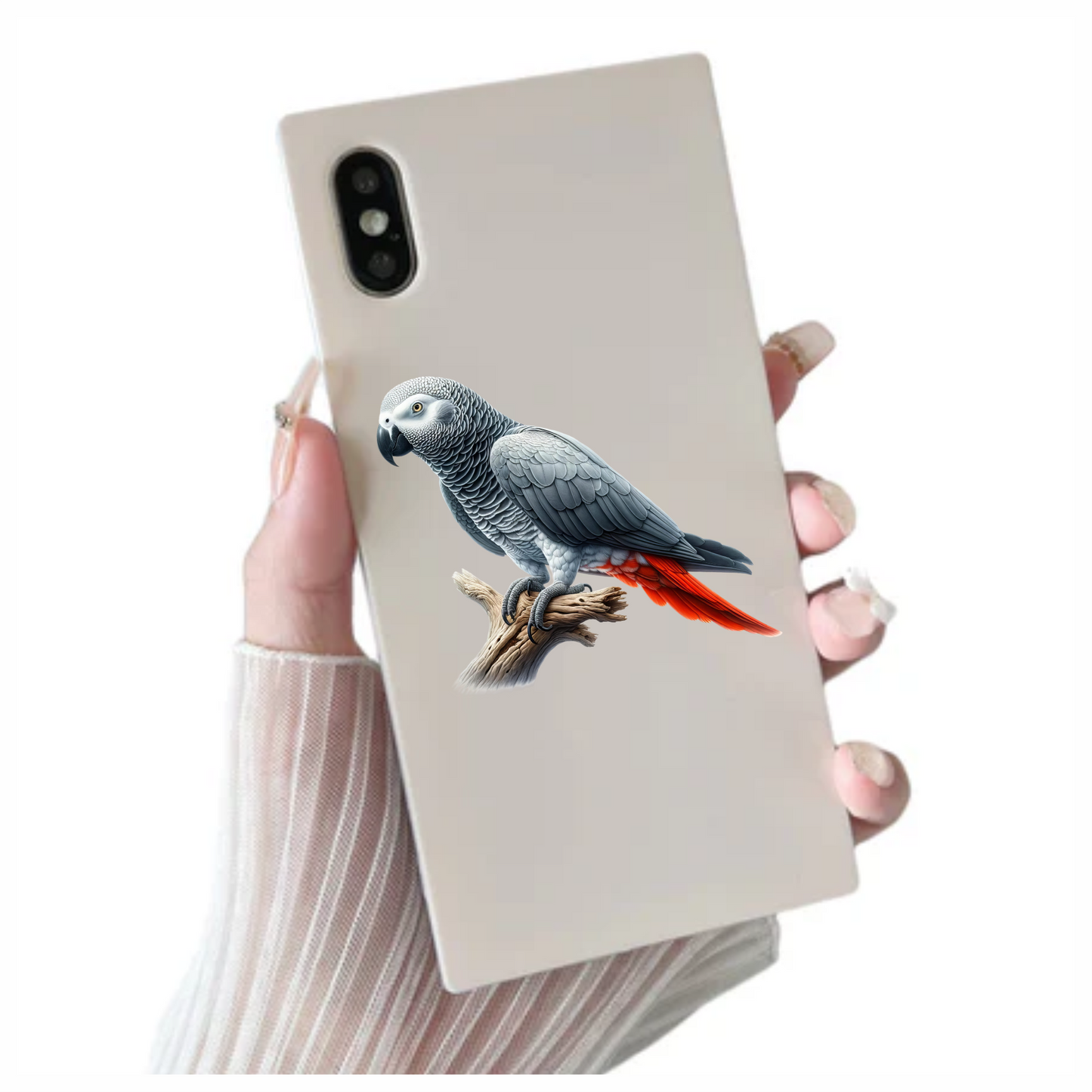 Grey Parrot Bird With Red Feathers Vinyl Sticker Decal
