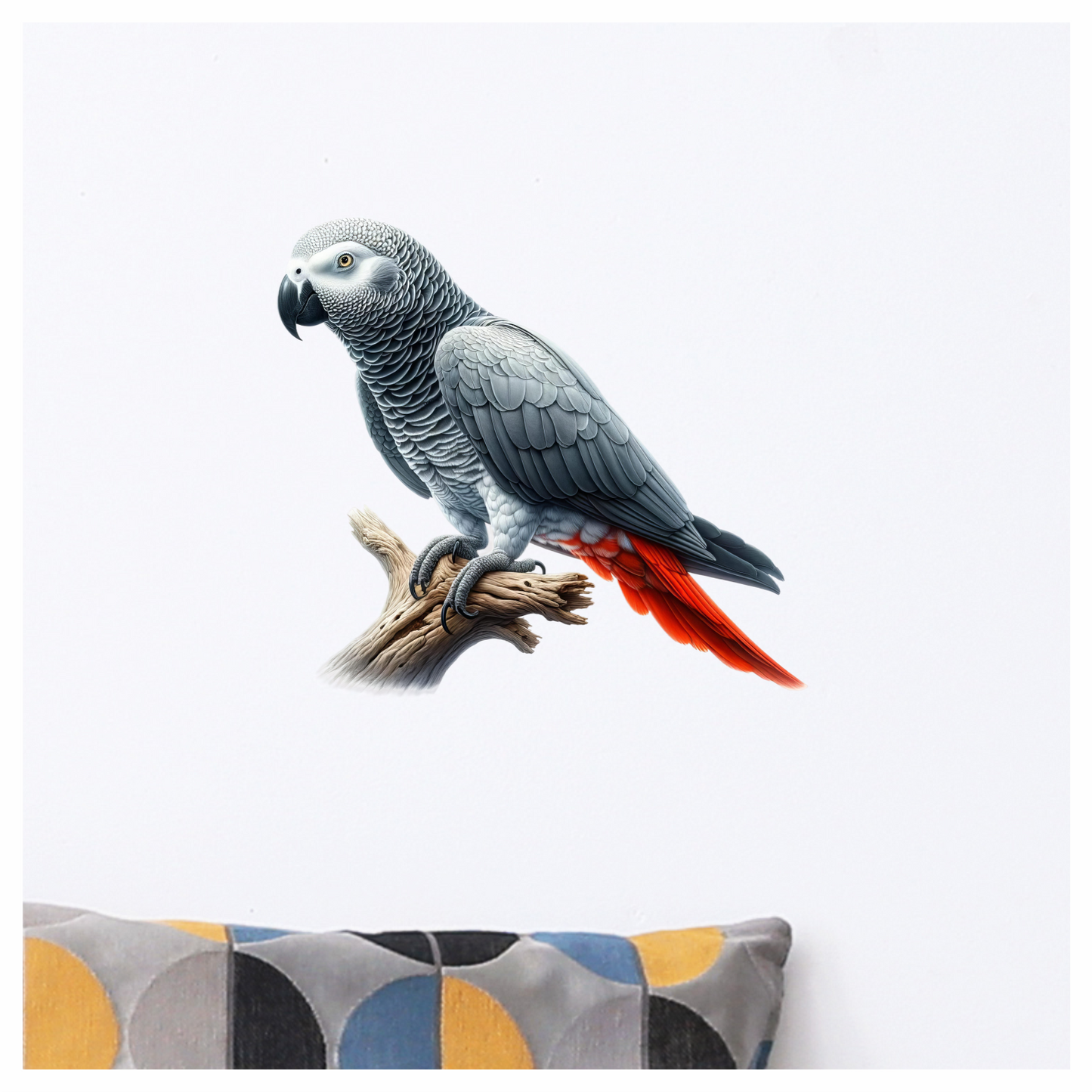 Grey Parrot Bird With Red Feathers Vinyl Sticker Decal