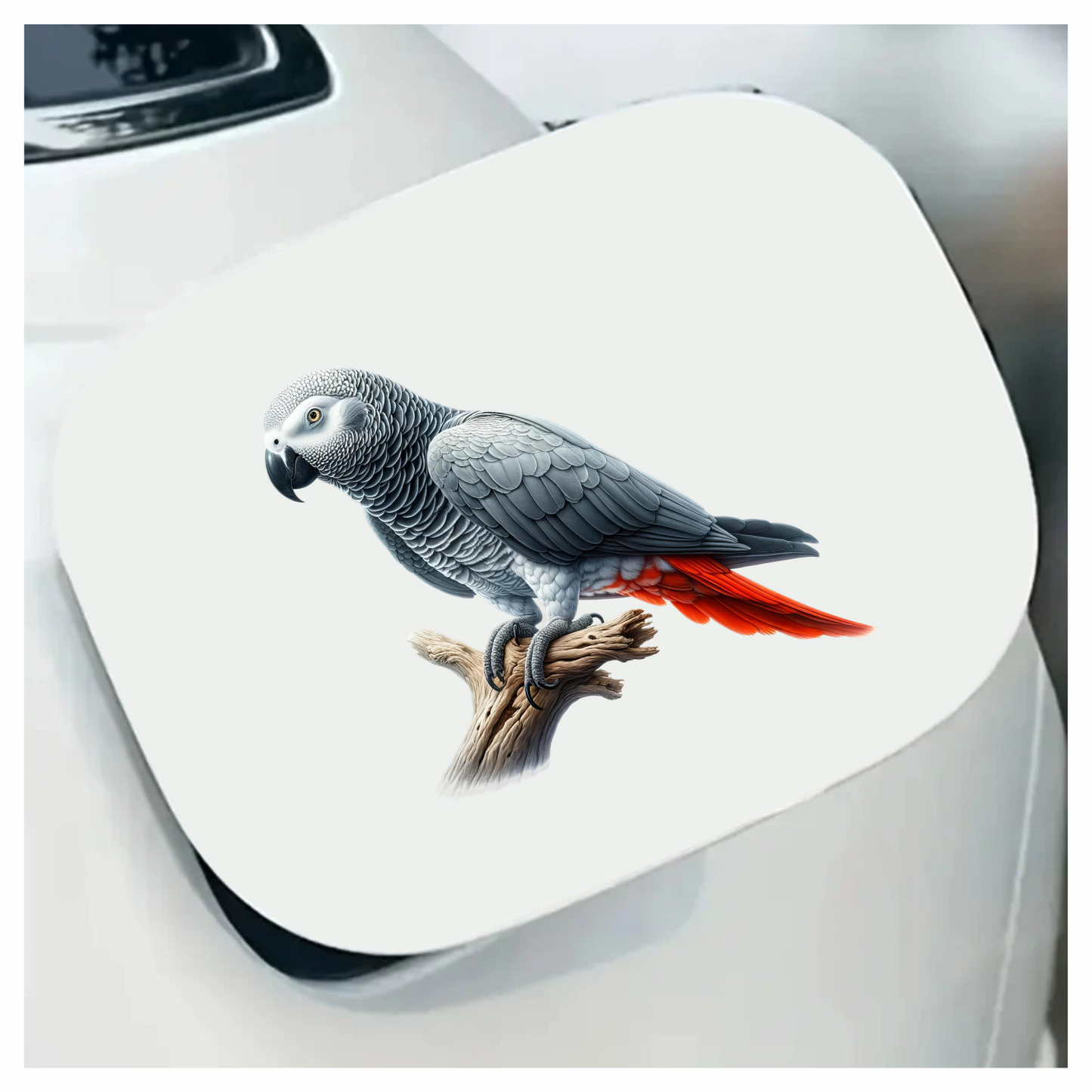 Grey Parrot Bird With Red Feathers Vinyl Sticker Decal